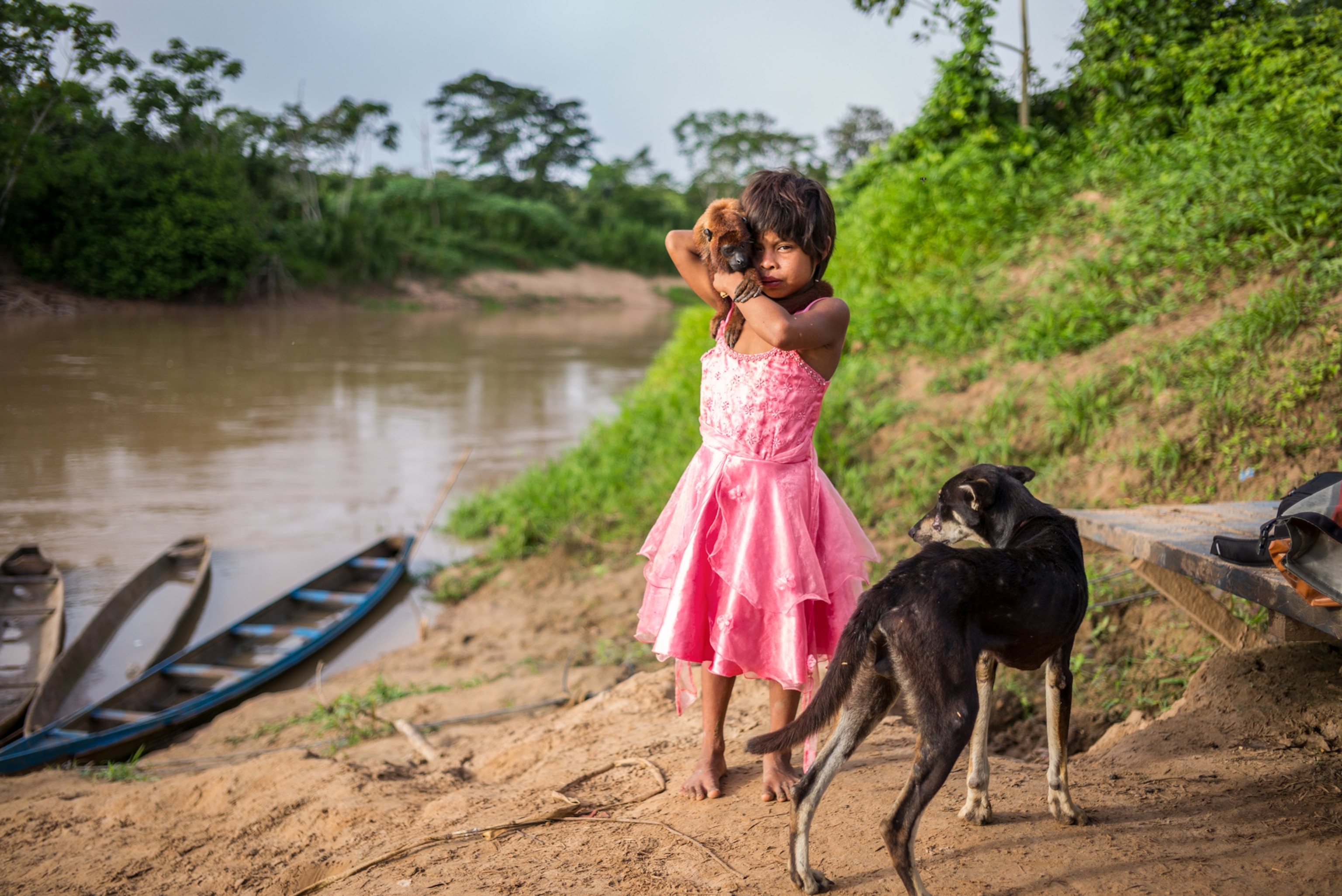 a young girl wearing a pink dress hiding her monkey next to her dog