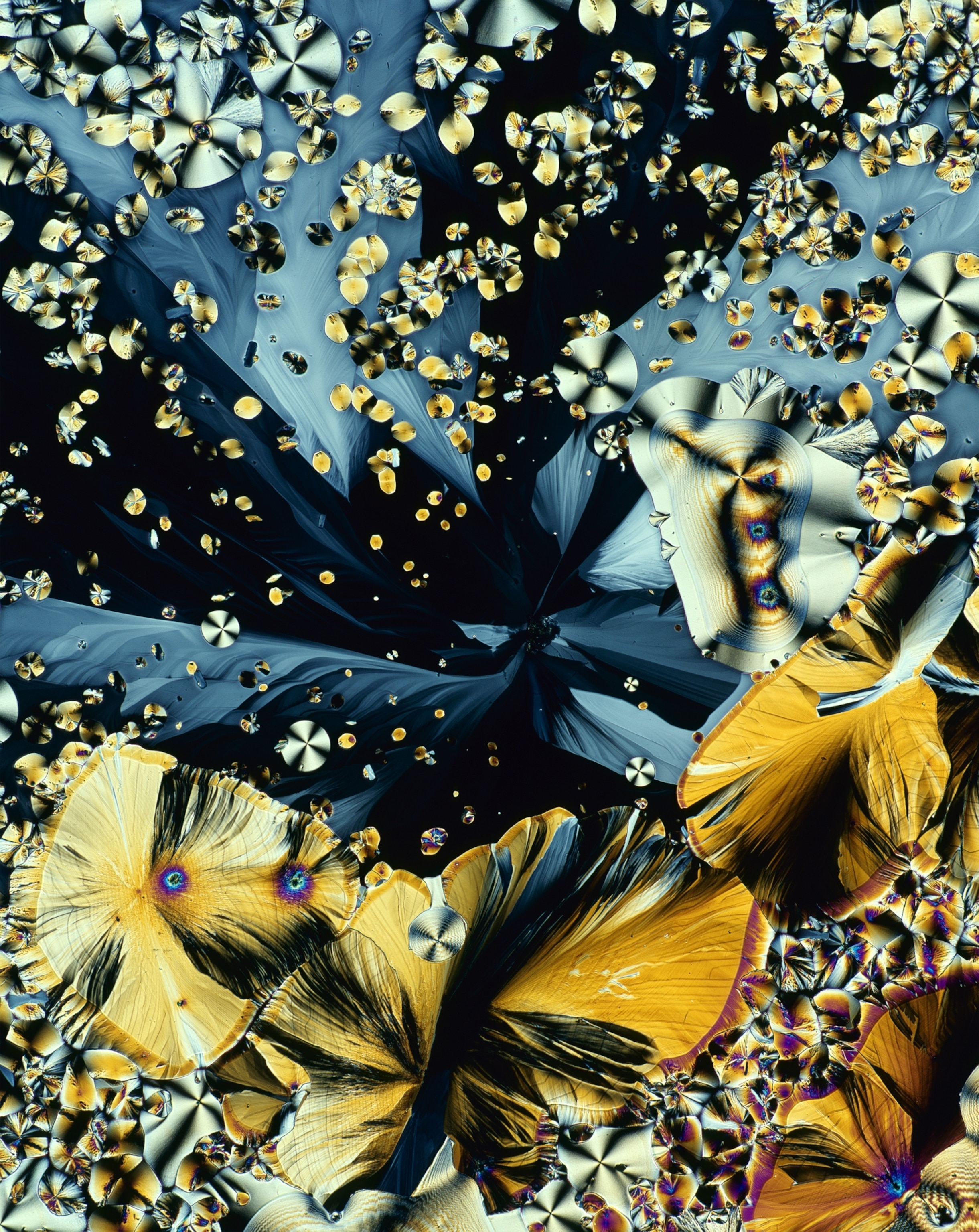 Light micrograph in polarised light of crystals of the hormone melatonin