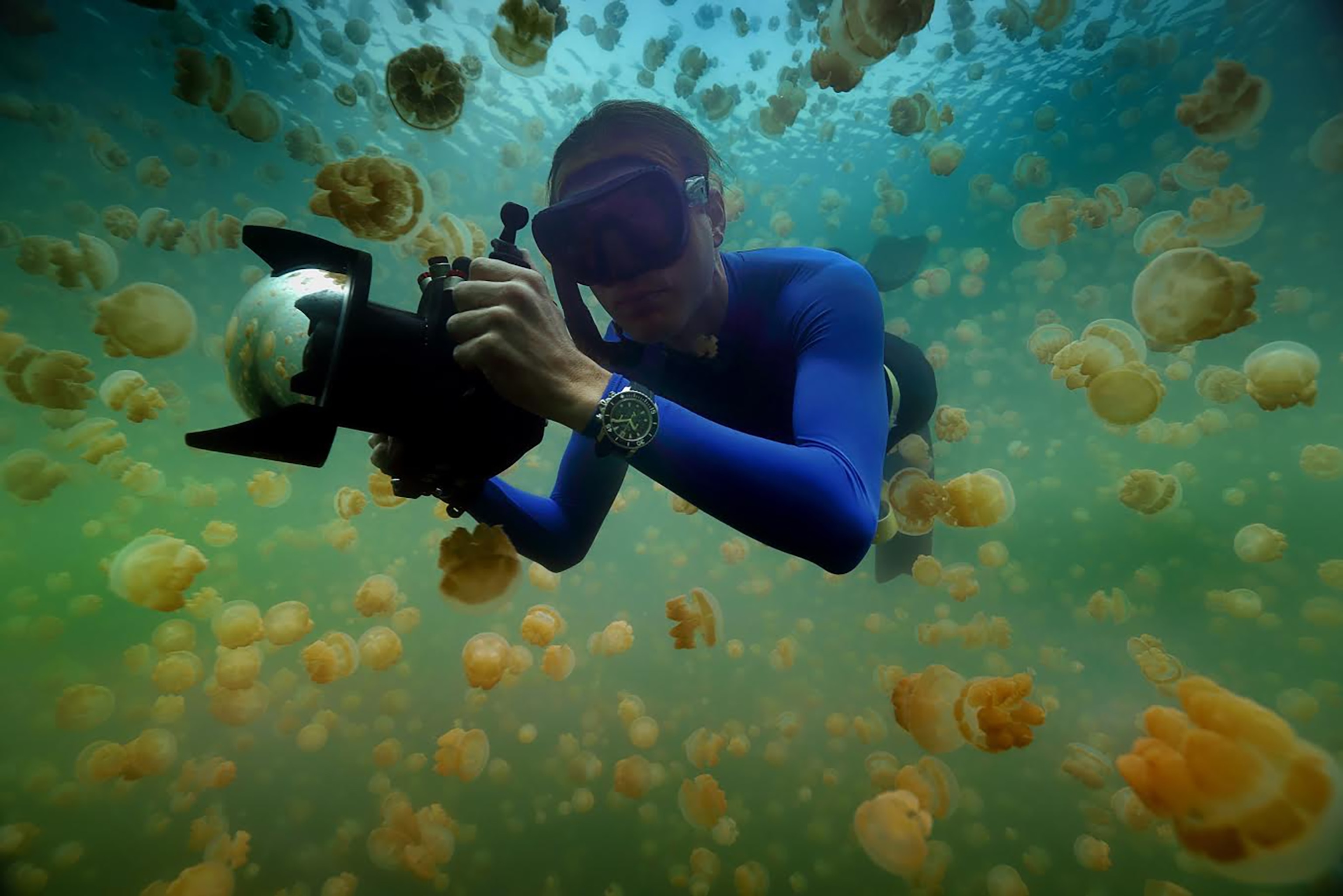Enric Sala, National Geographic Explorer