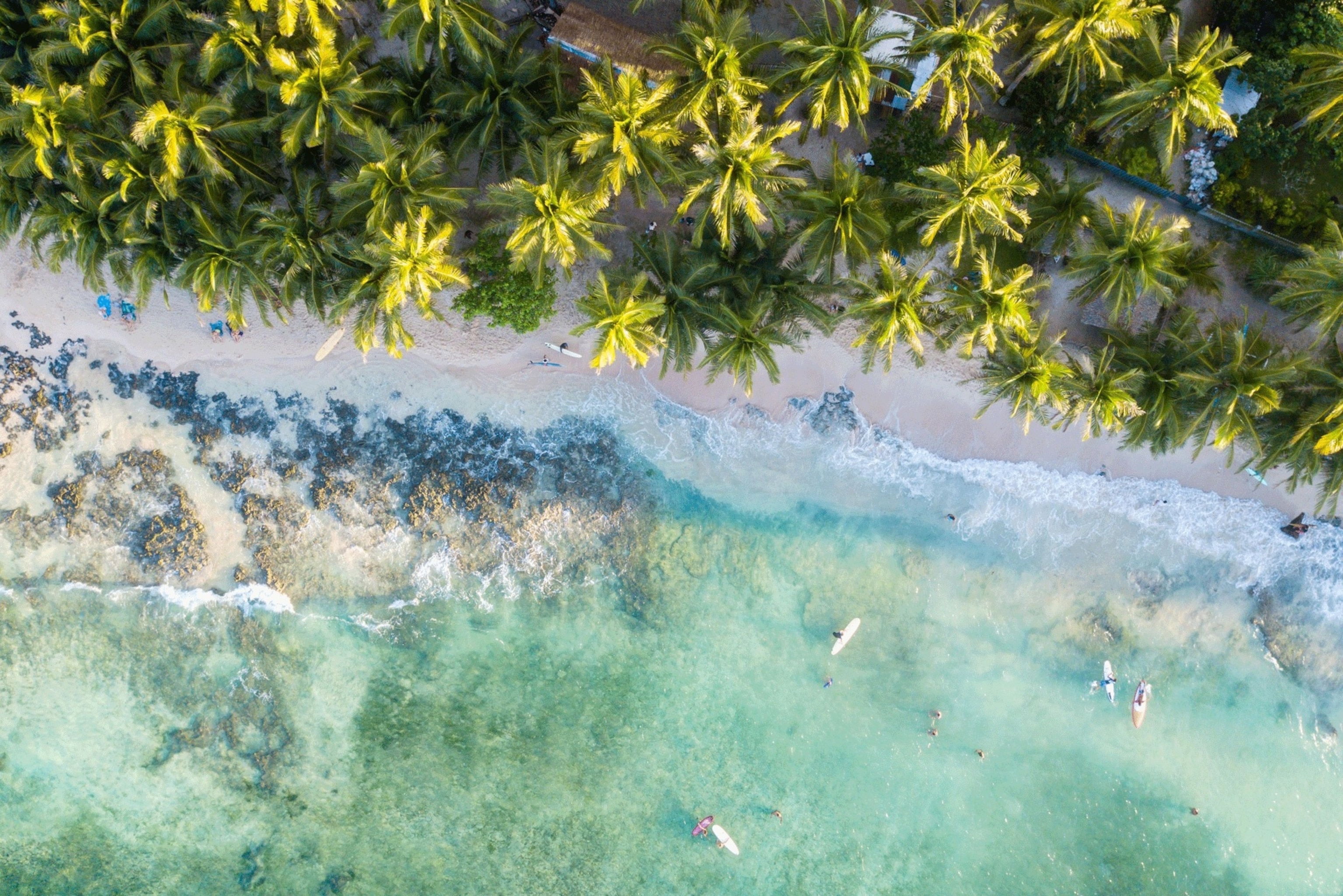 A bird's eye view of people playing in the crystal waters of Nacpan beach. Palm trees are lined right up to the water's edge.