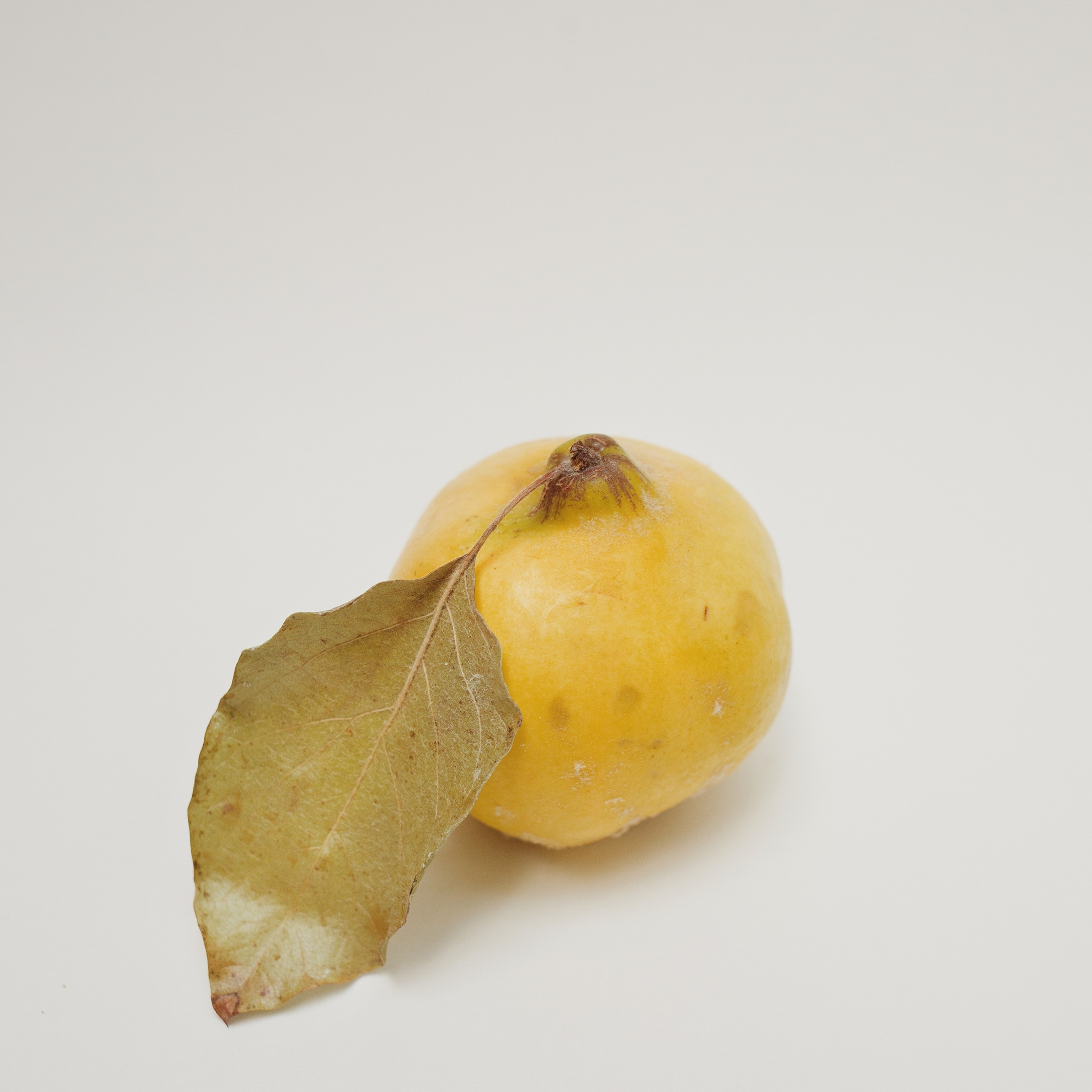 heirlooms in the United States