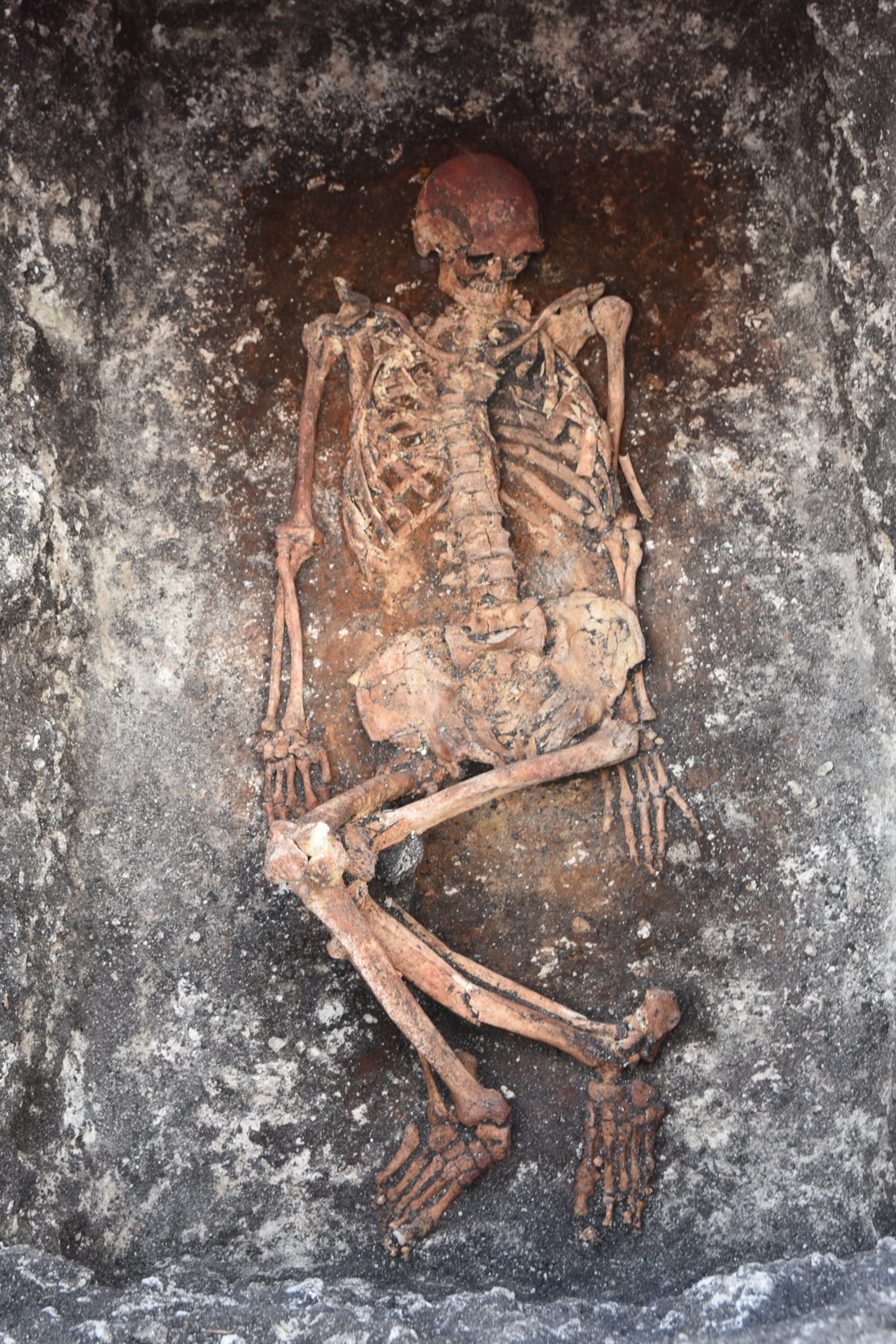 A view of the skeletal remains as they were found in the Yamnaya grave in Malomirovo, Bulgaria.
