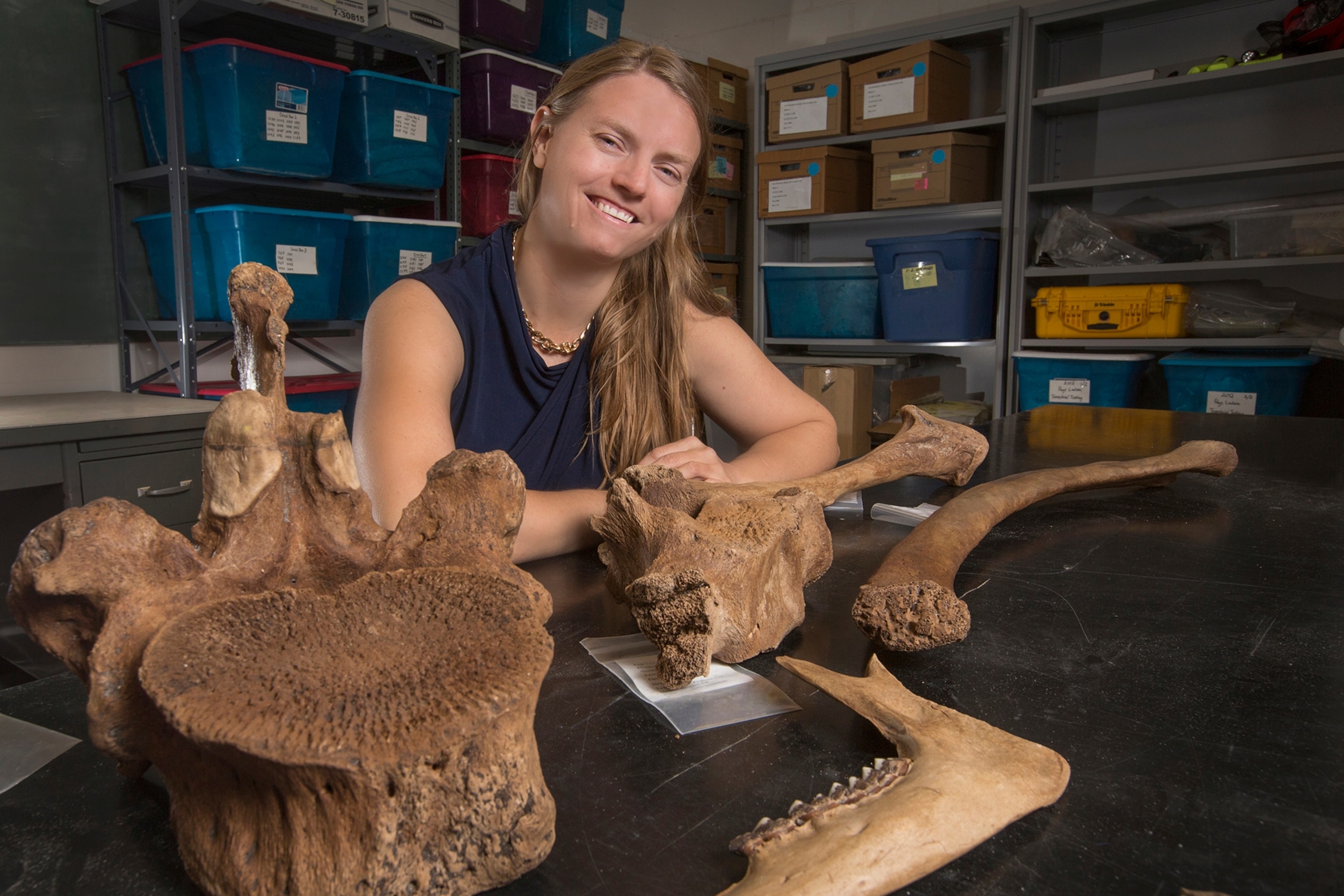 mastodon bones