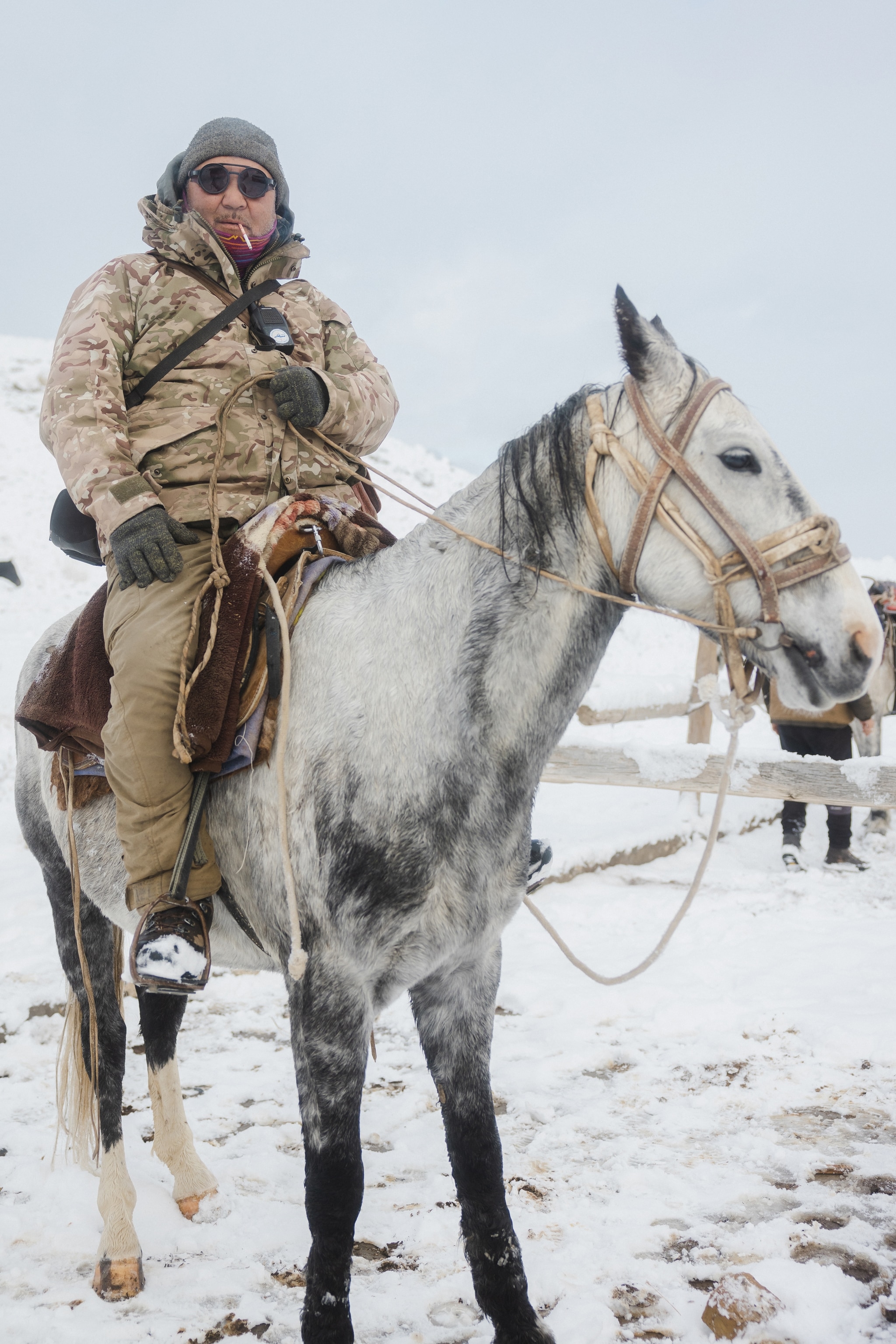 Man on a horse