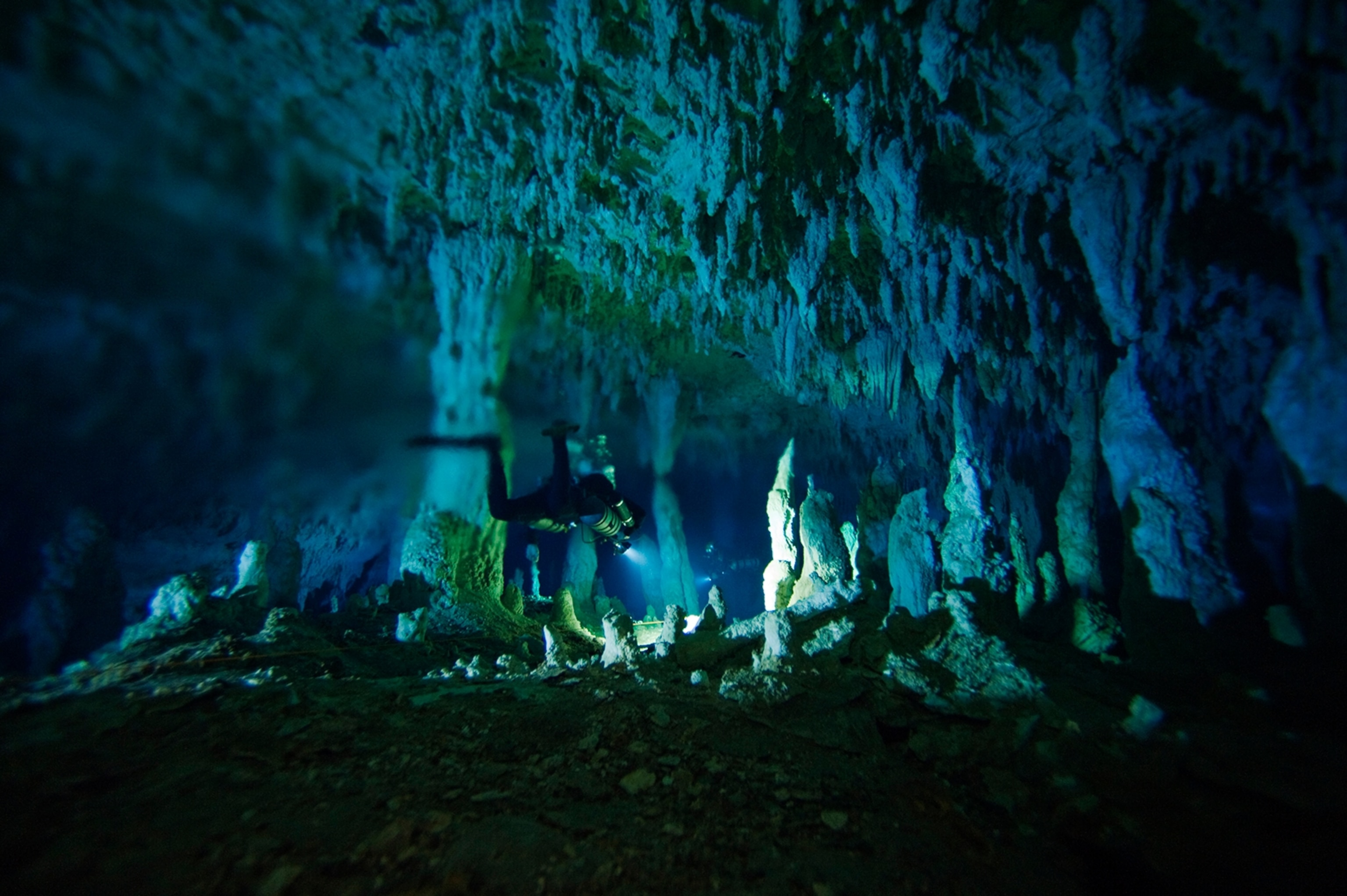 the halocline, a thin layer where waters with different salinities meet