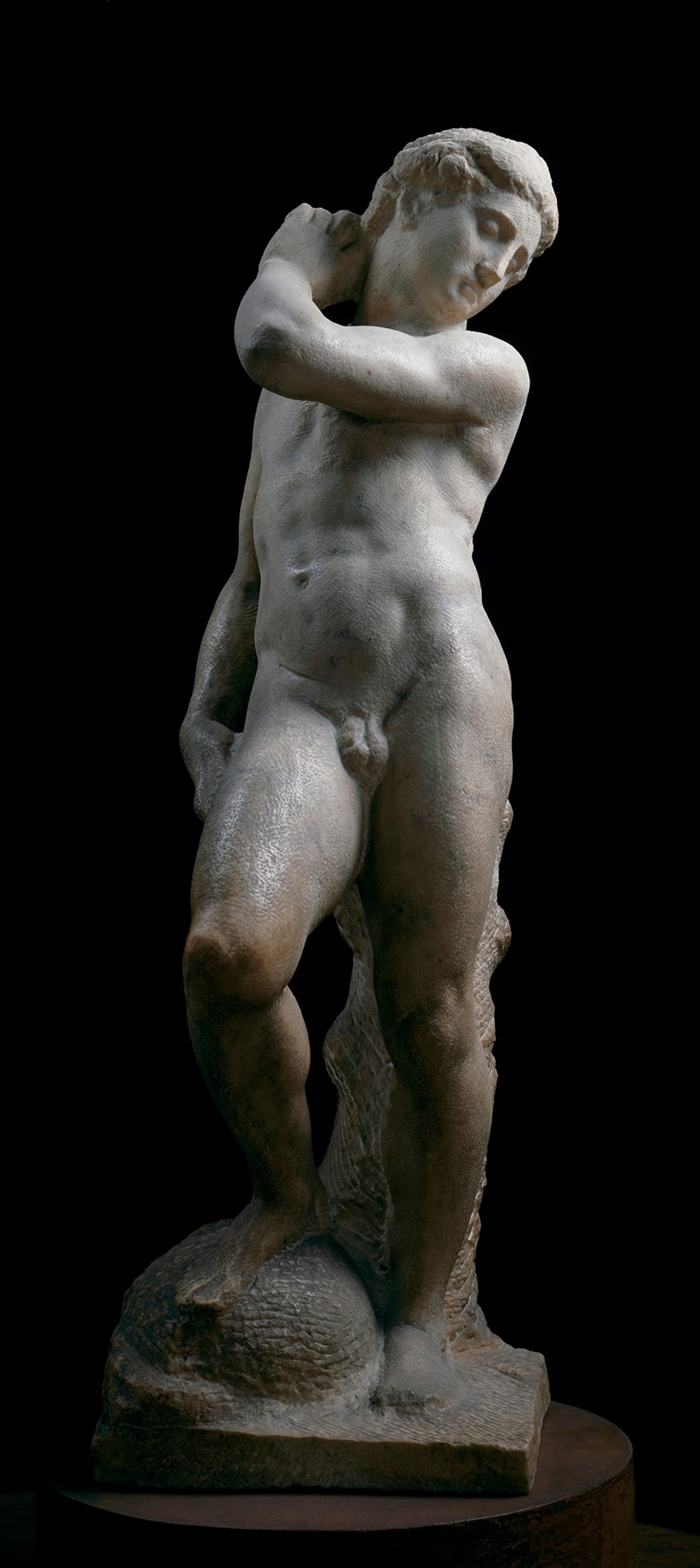 David-Apollo by Michelangelo