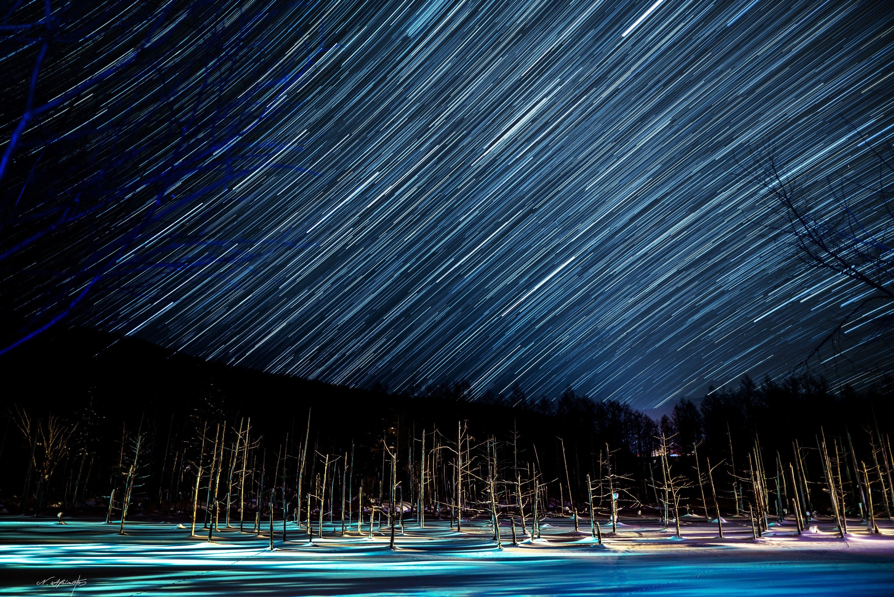 a pond in Hokkaido, Japan