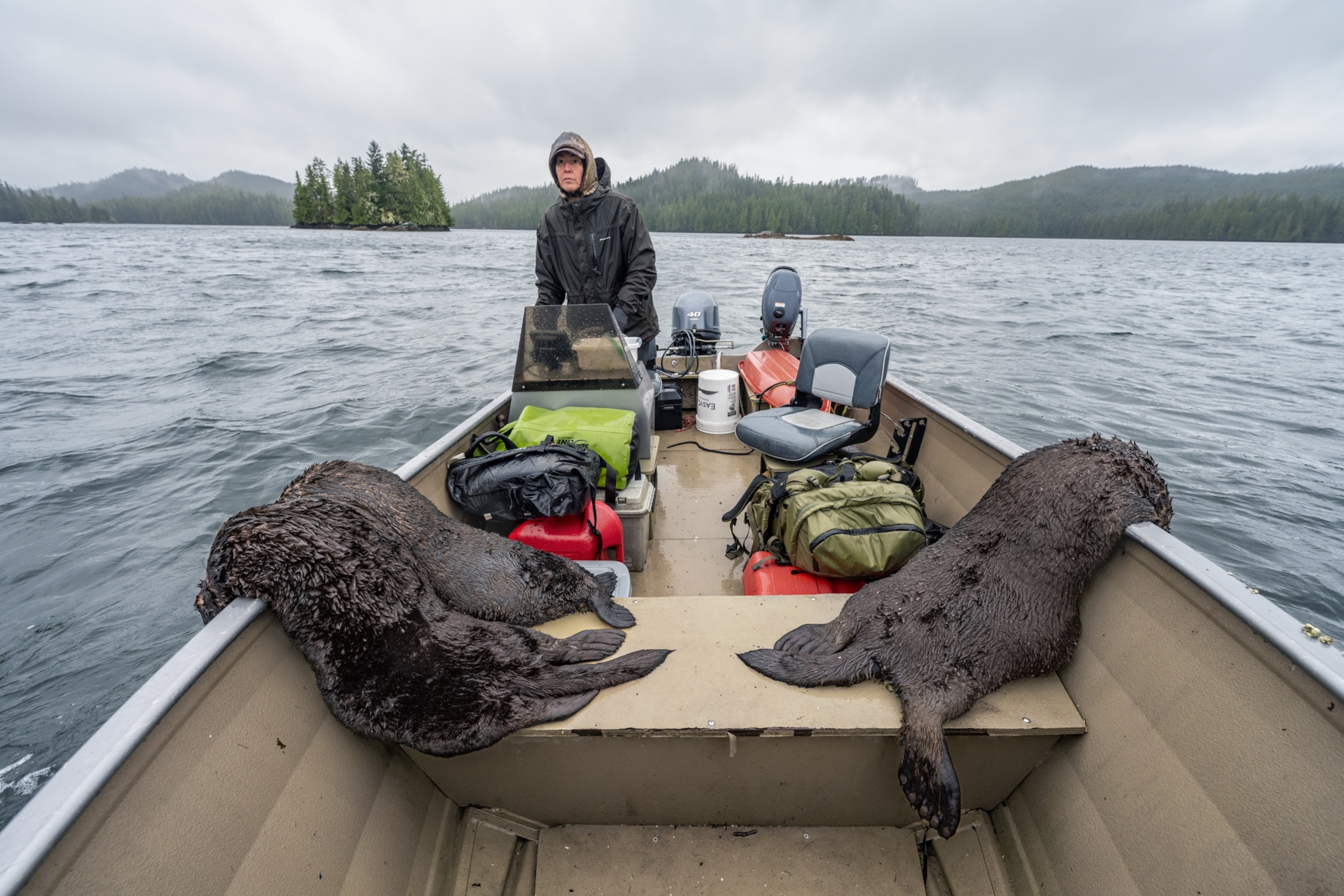 Picture of a woman driving a small metal boat with three dead sea otter hanging over the sides.