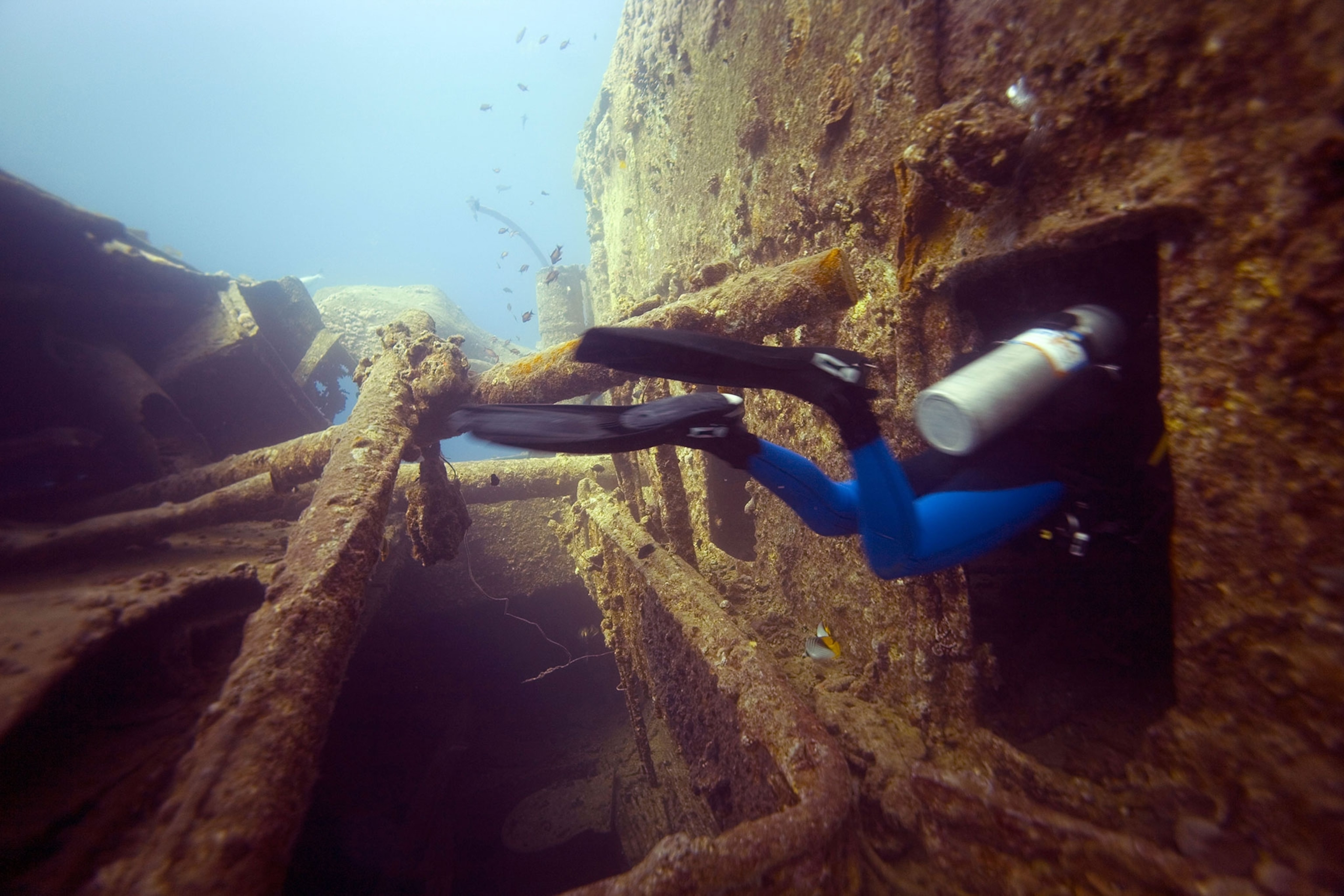 scuba diver