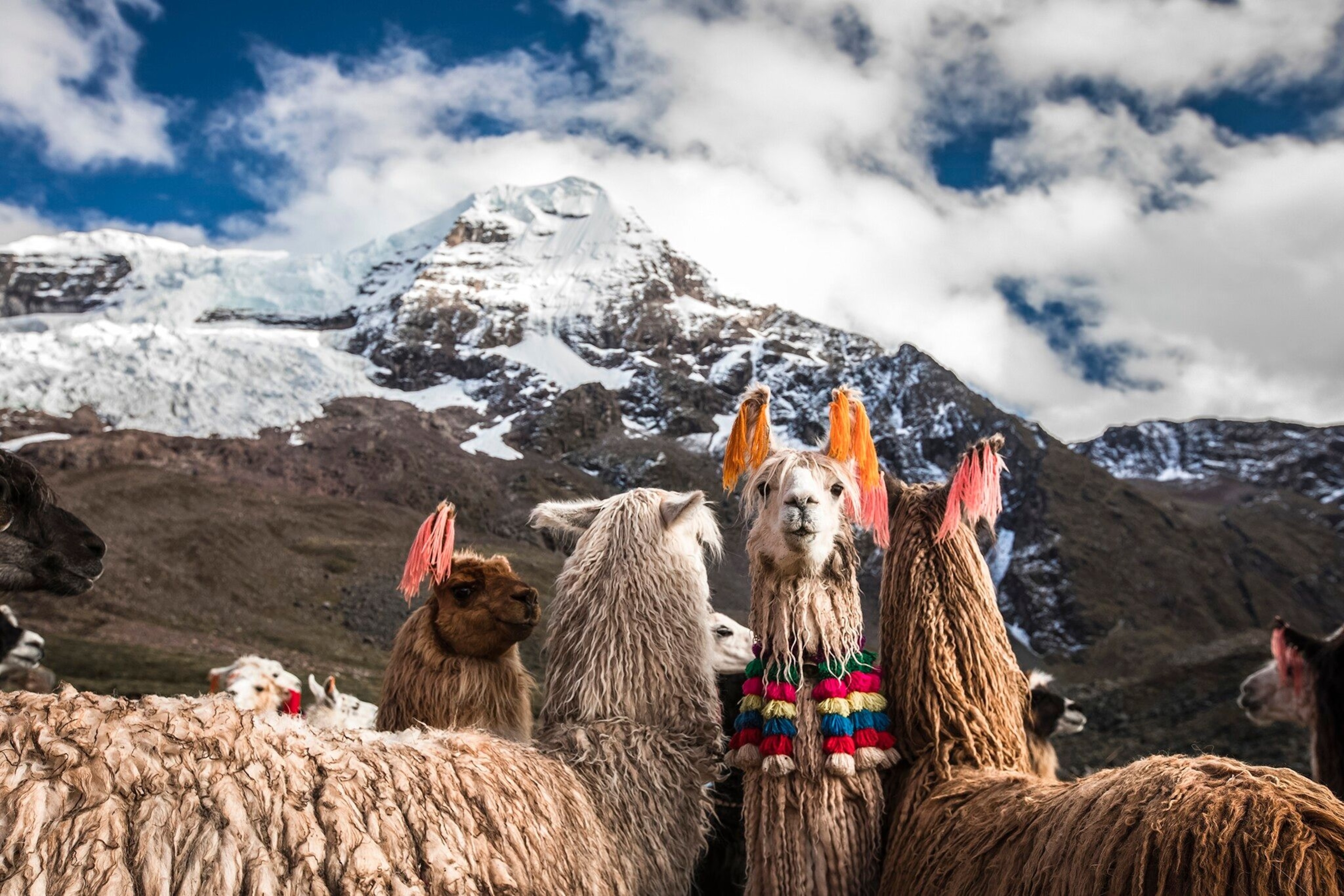 Cusco becomes a stage for Inti Raymi in June: a 500-year-old tradition dating back to the days of the Inca Empire.