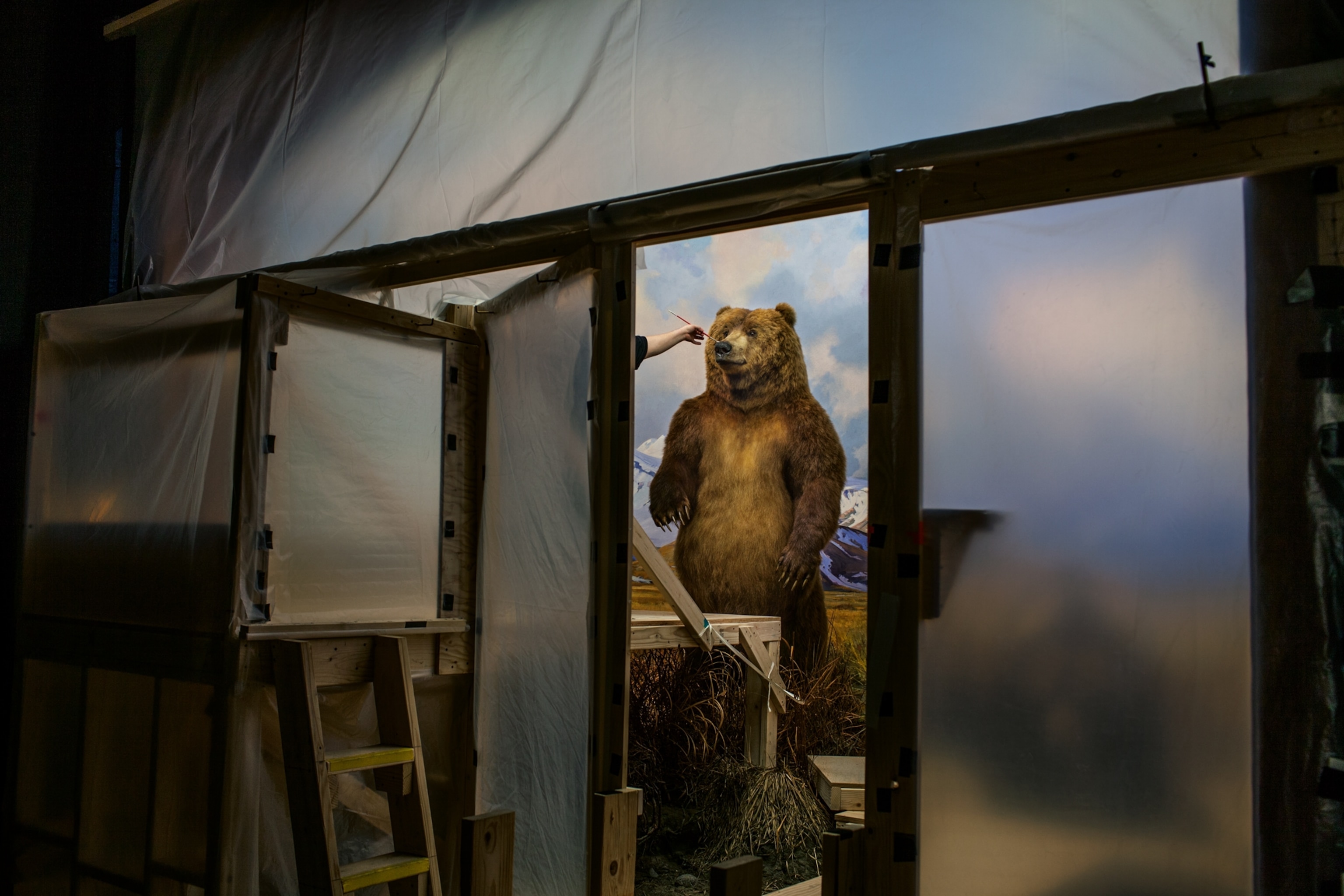 taxidermist George Dante touching up a brown bear