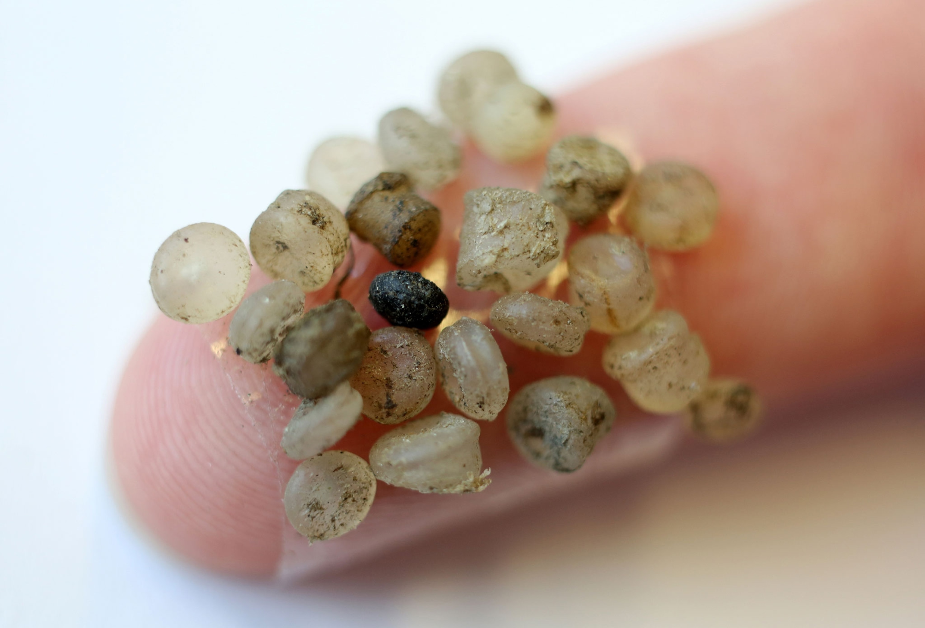 microplastics