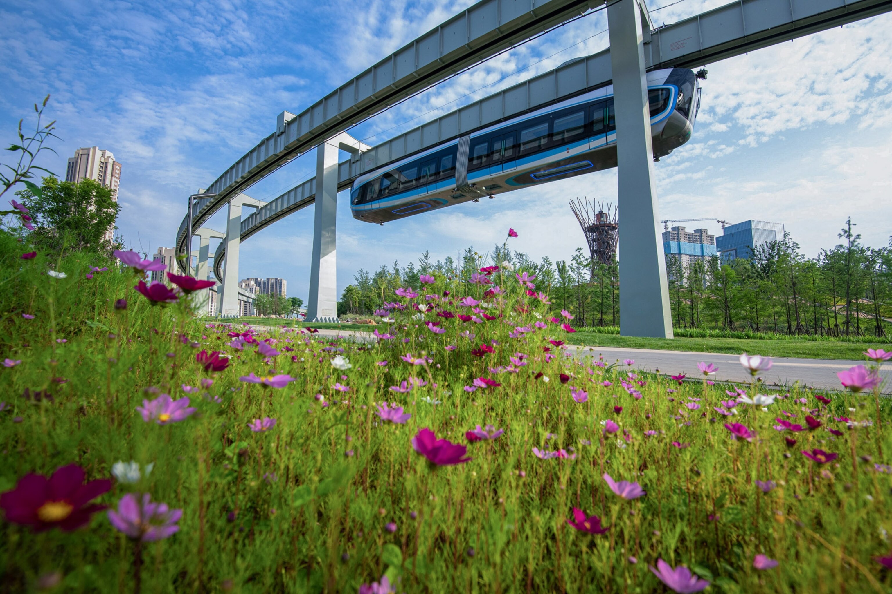 Looking up at a suspended train with flowers in the foreground.