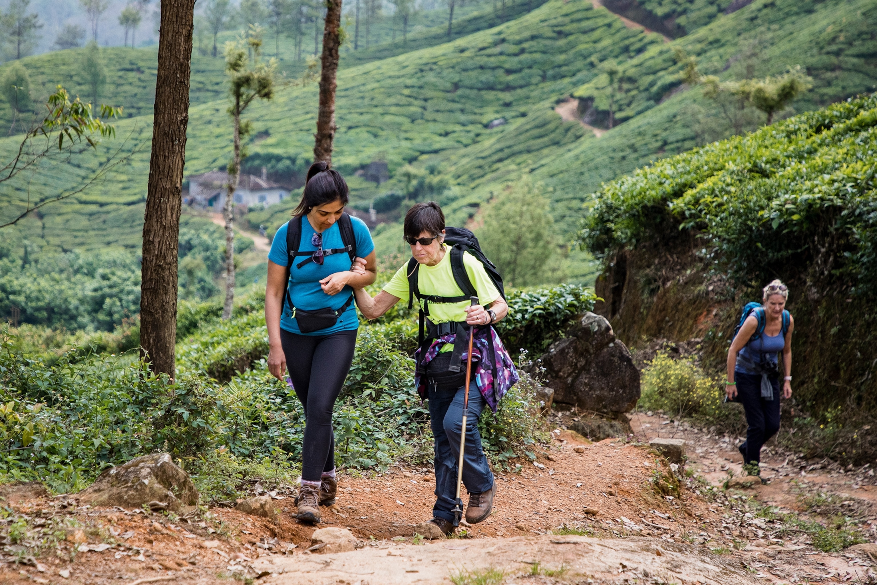 A visually impaired woman hiking up a mountain forest trail with the help of a guide.
