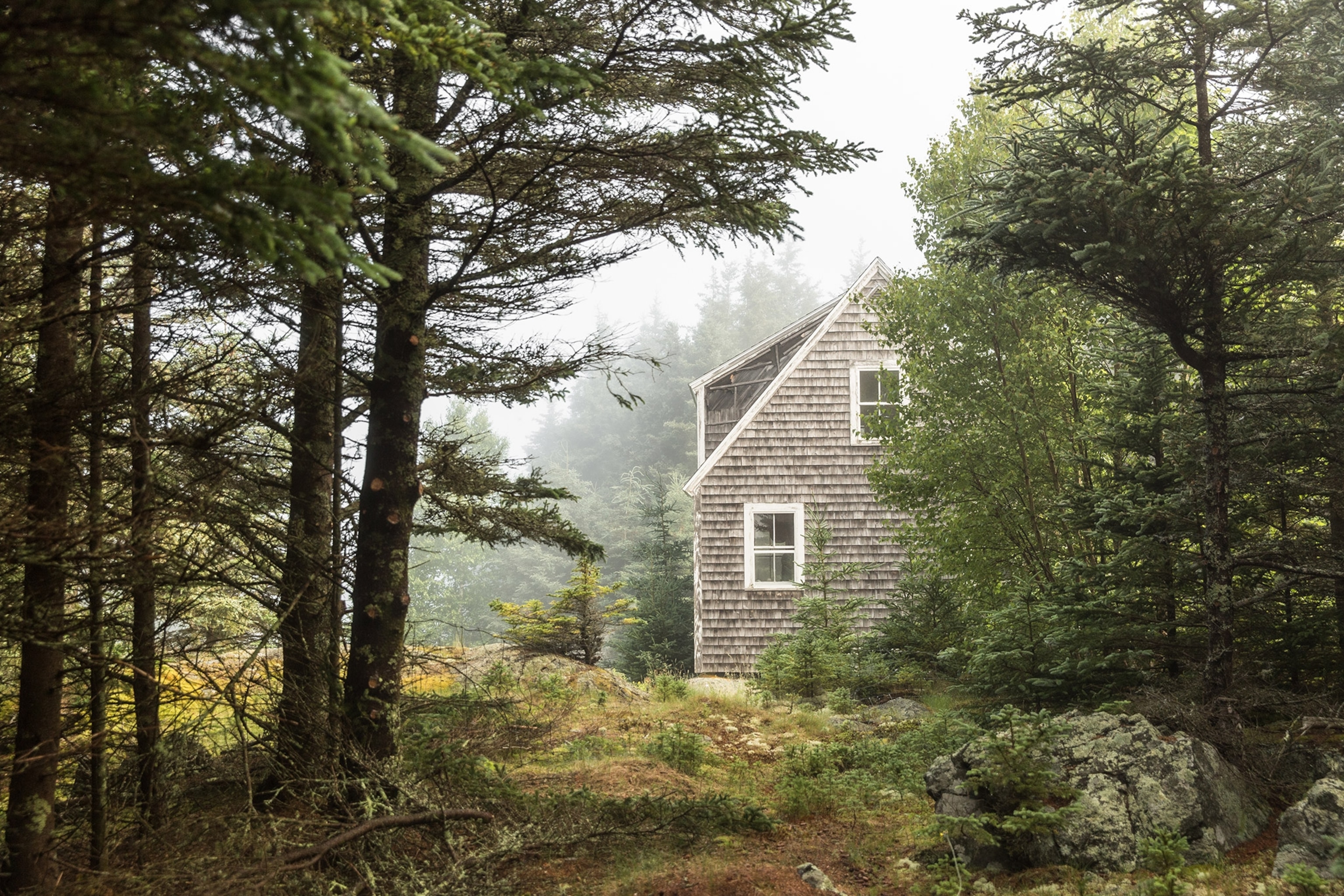 a  small, off-the-grid cabin tucked away in the fog and forest in Maine