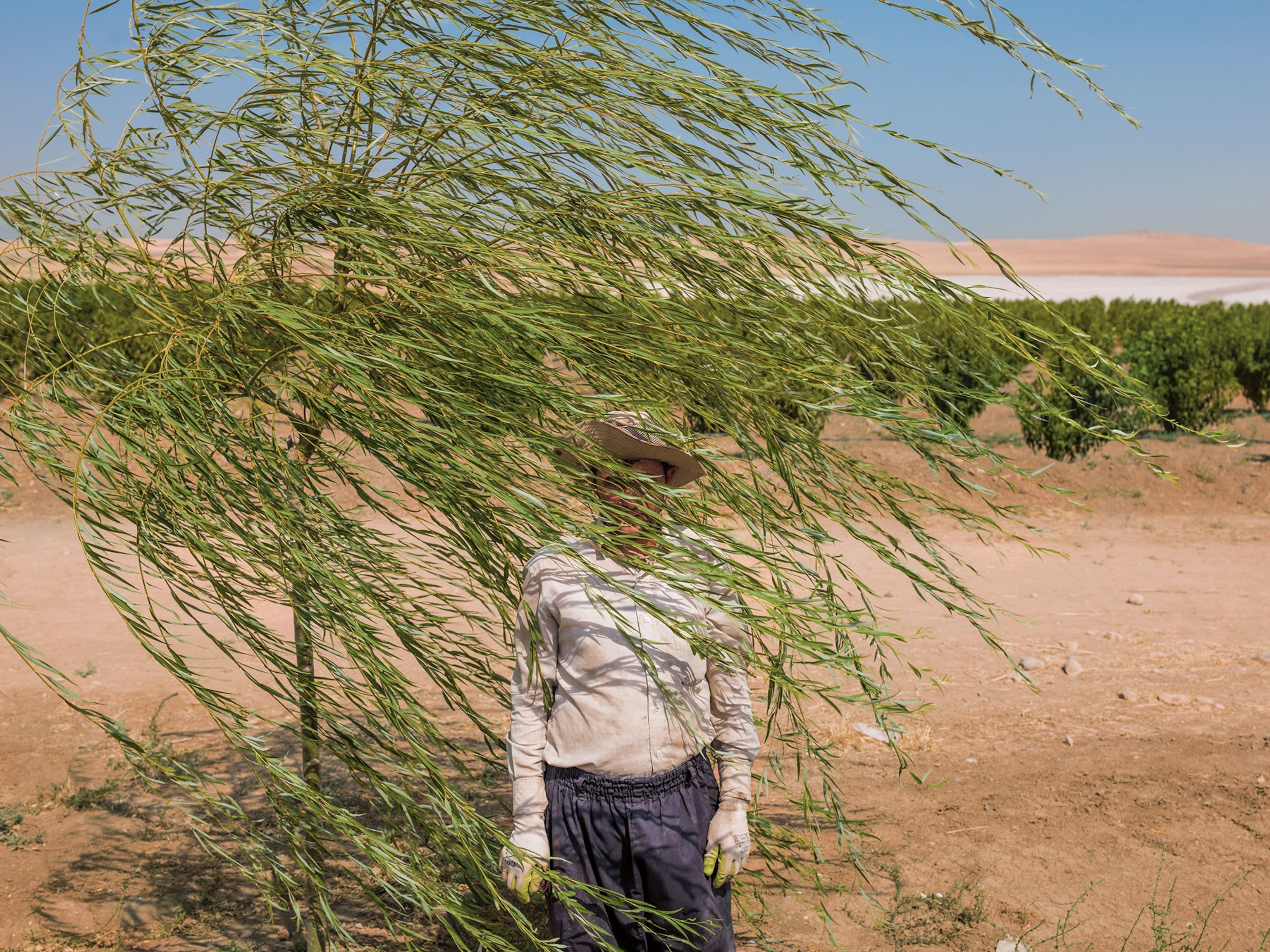 a farmer