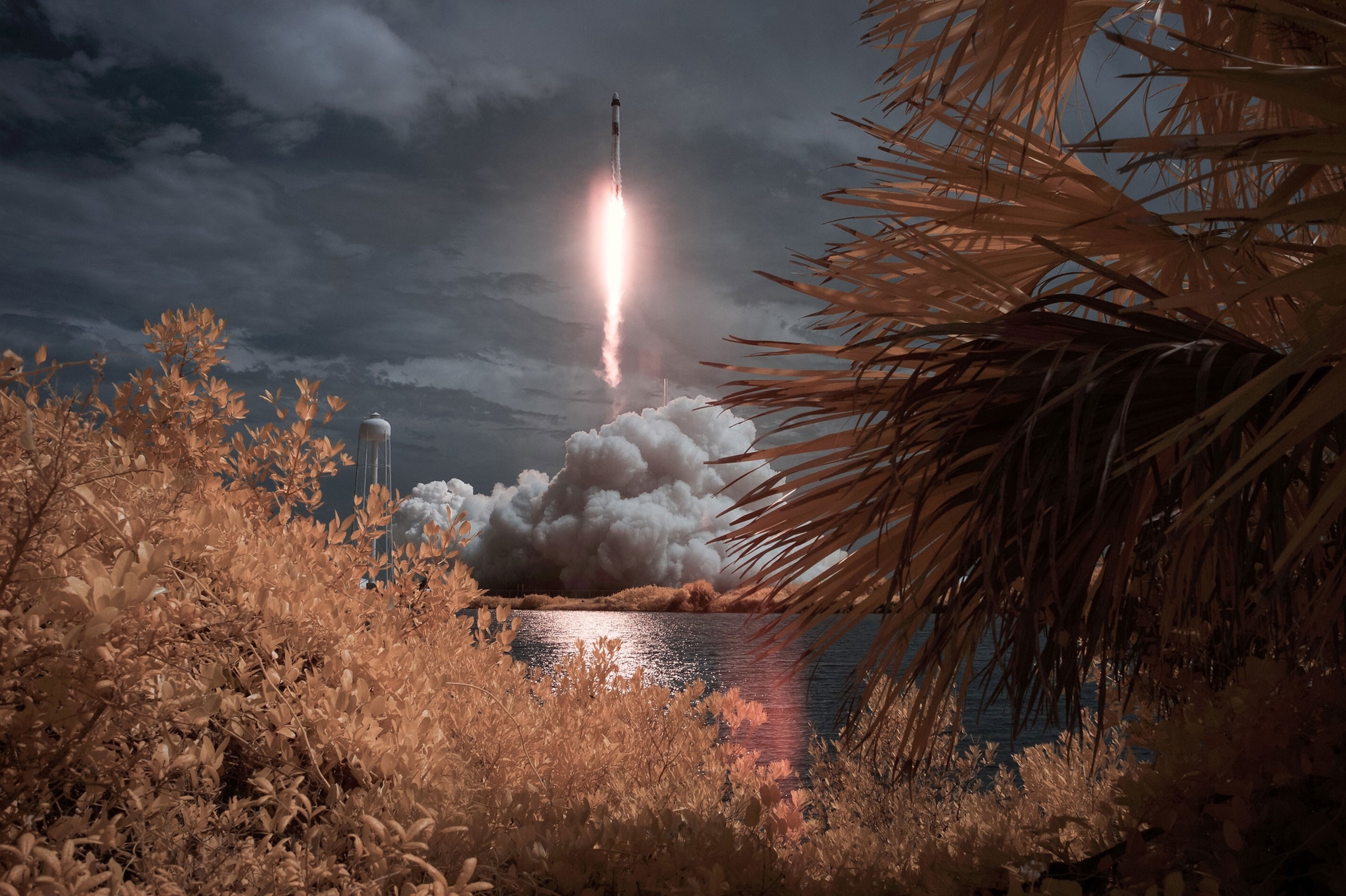 SPACEX's demo2 launches crew to ISS.