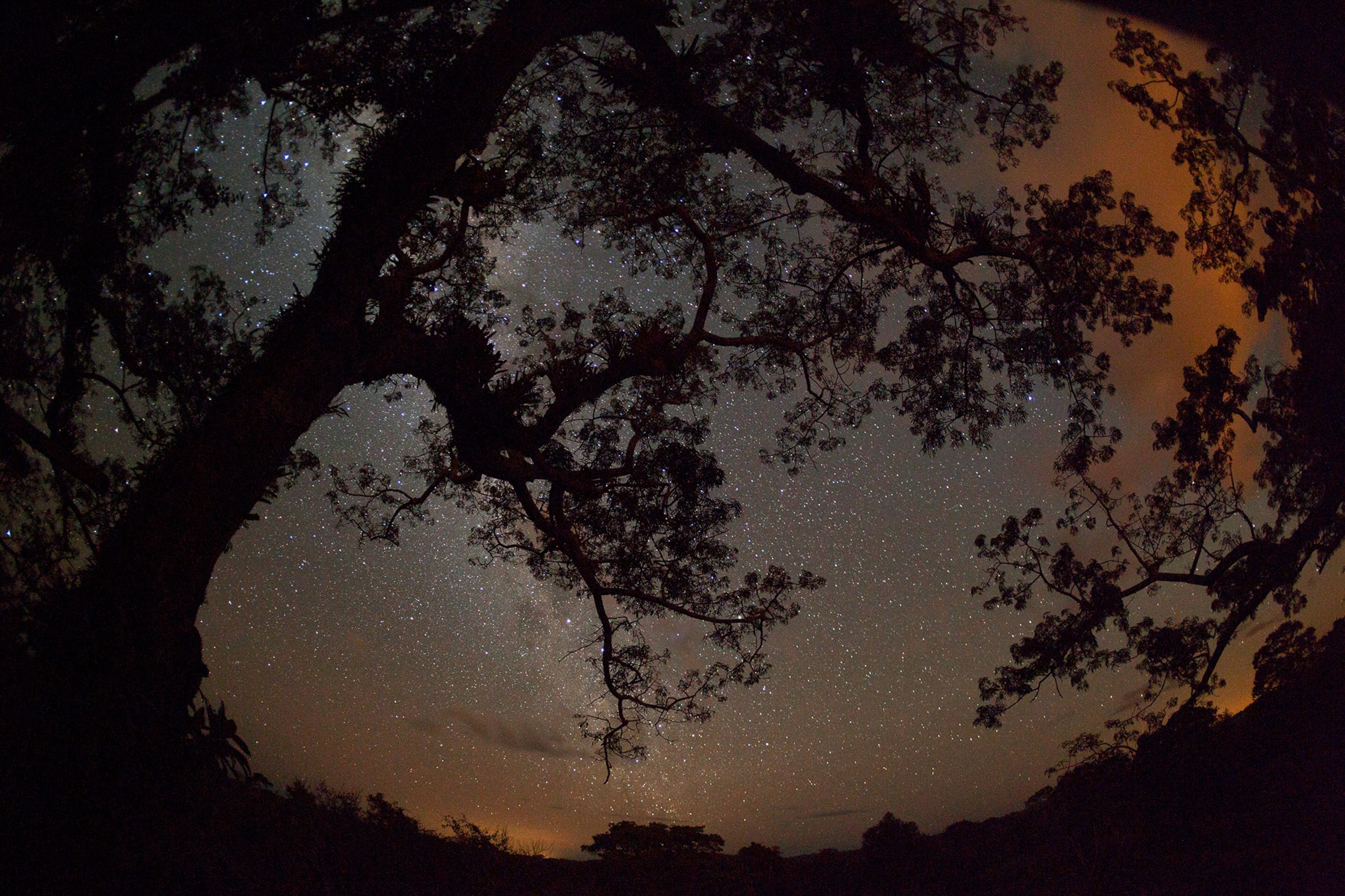 the sky over Yasuni National park