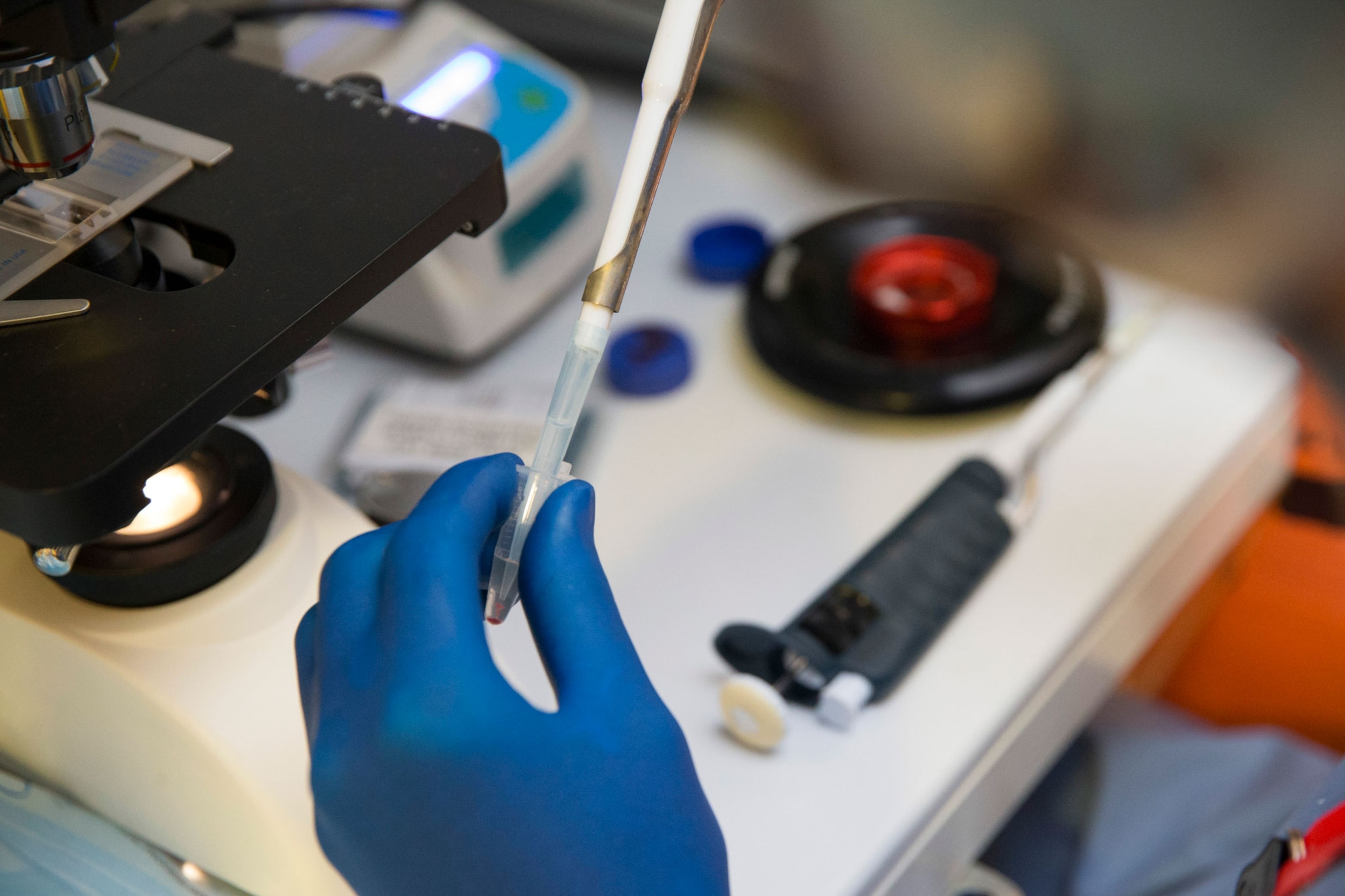 Gloved hands hold a tube over a microscope and work table.