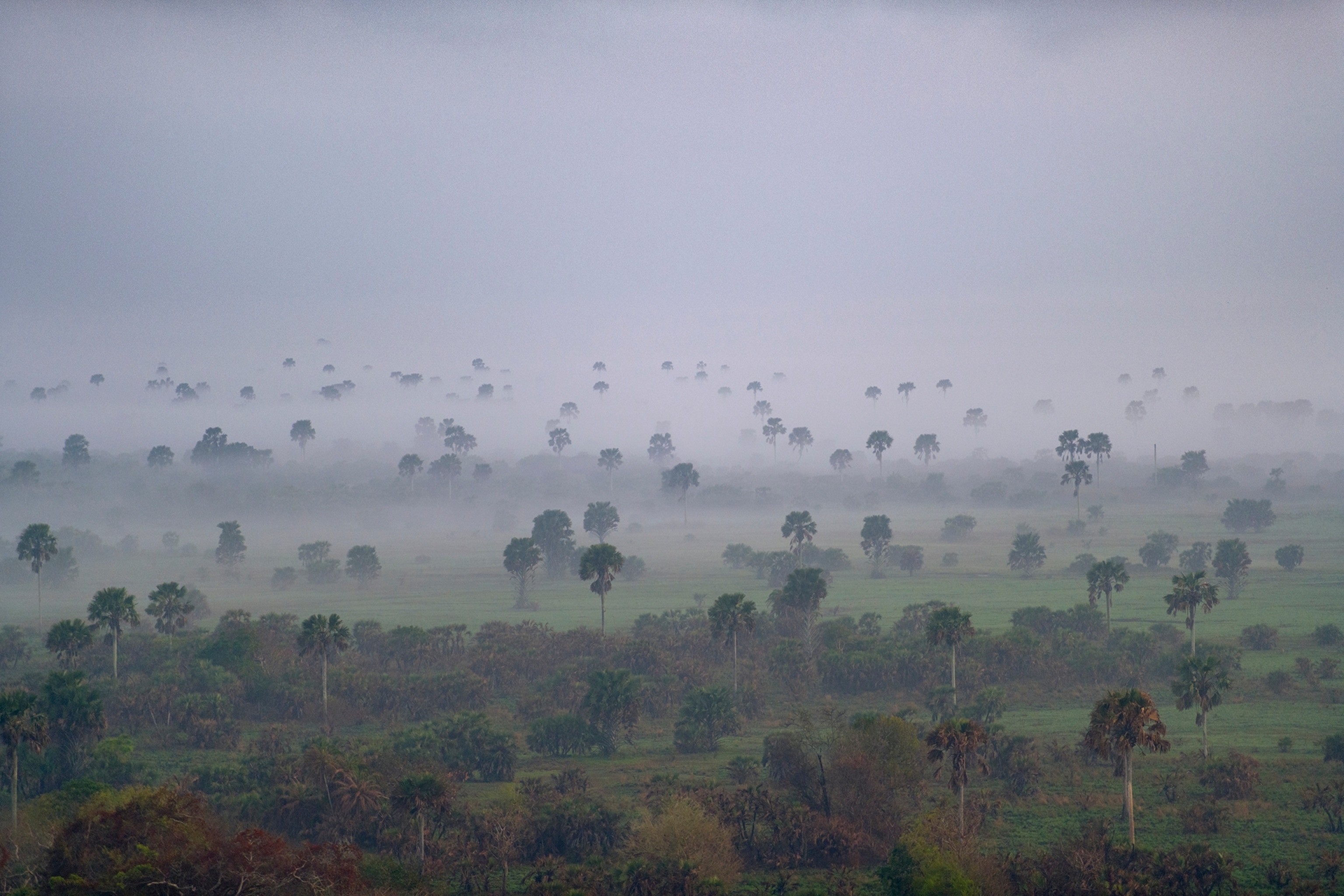 the Zambeze delta in Mozambique