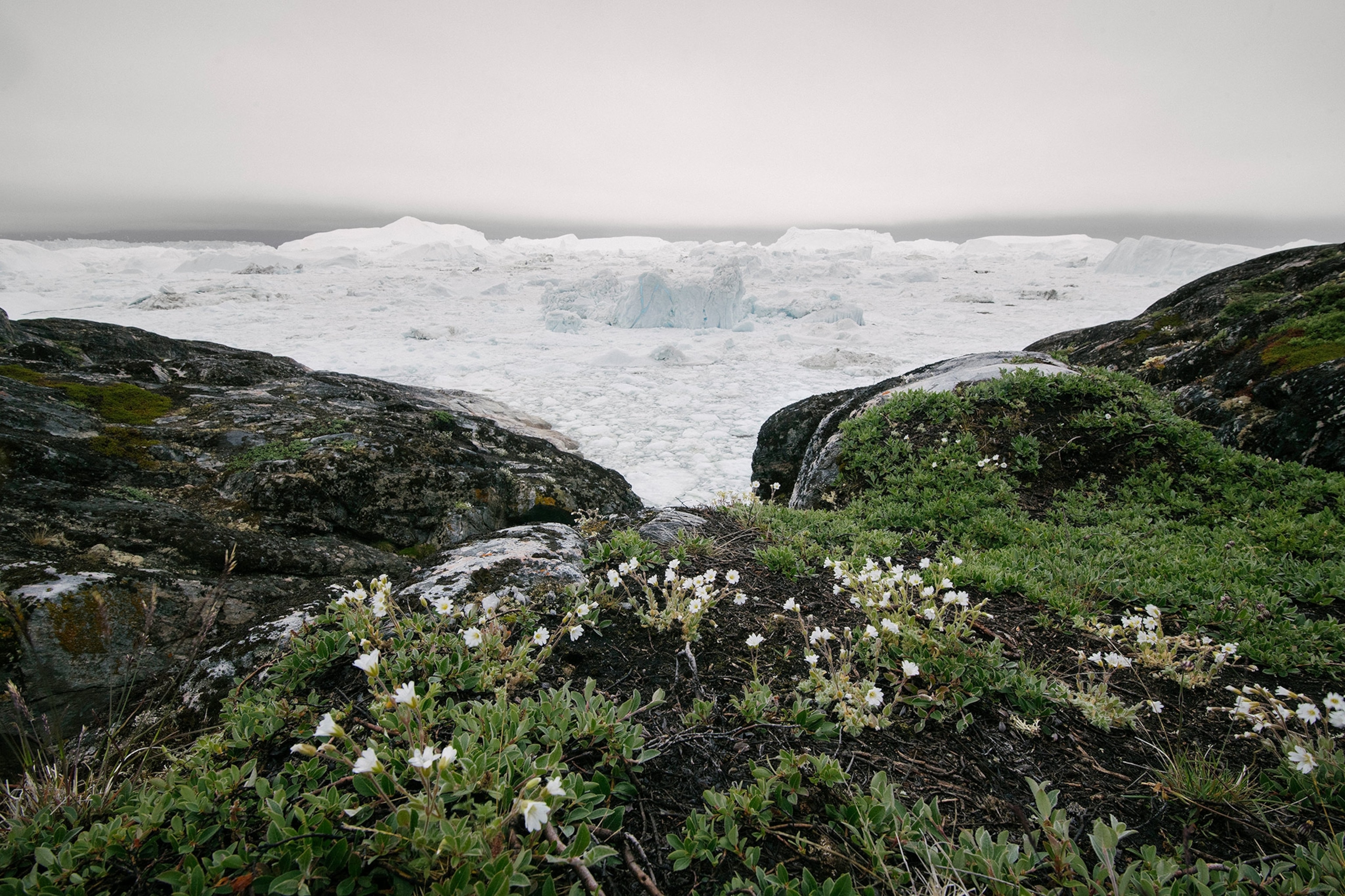 Greenland