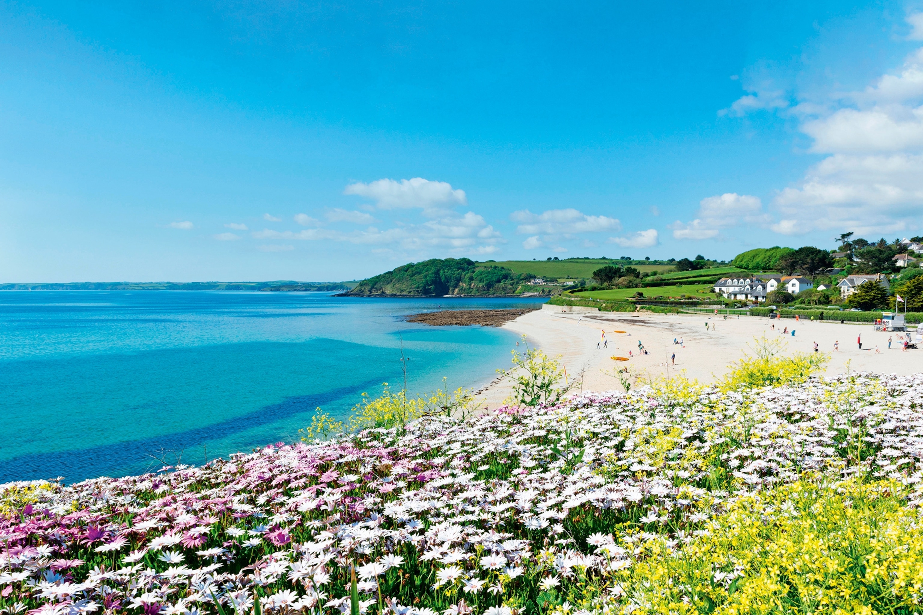 View of Gyllyngvase beach and fields behind in Falmouth.