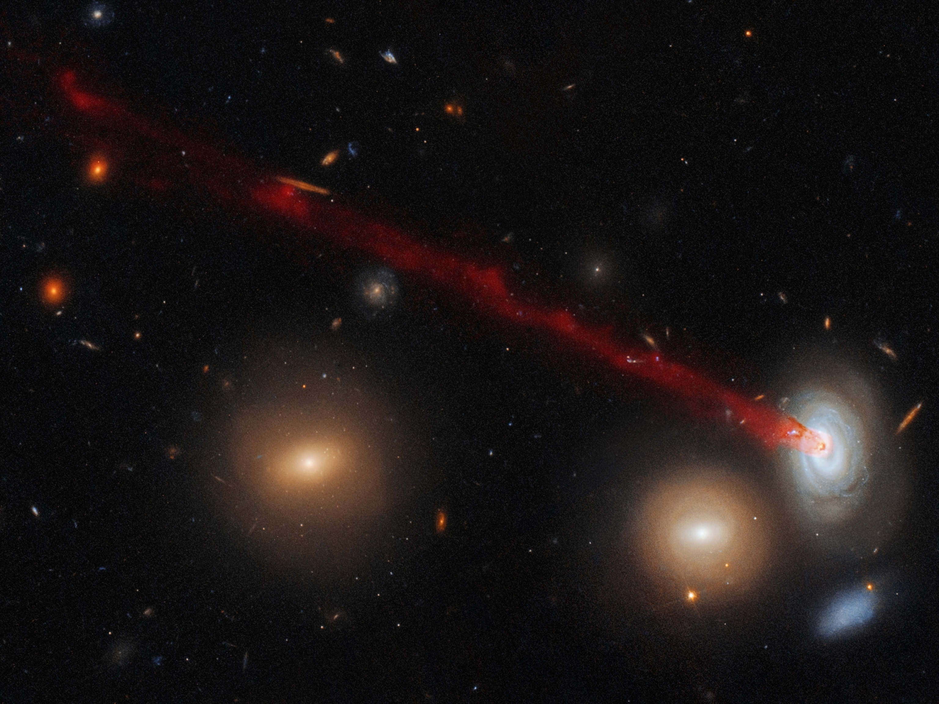 the spectacular tail emerging from a spiral galaxy nicknamed D100.