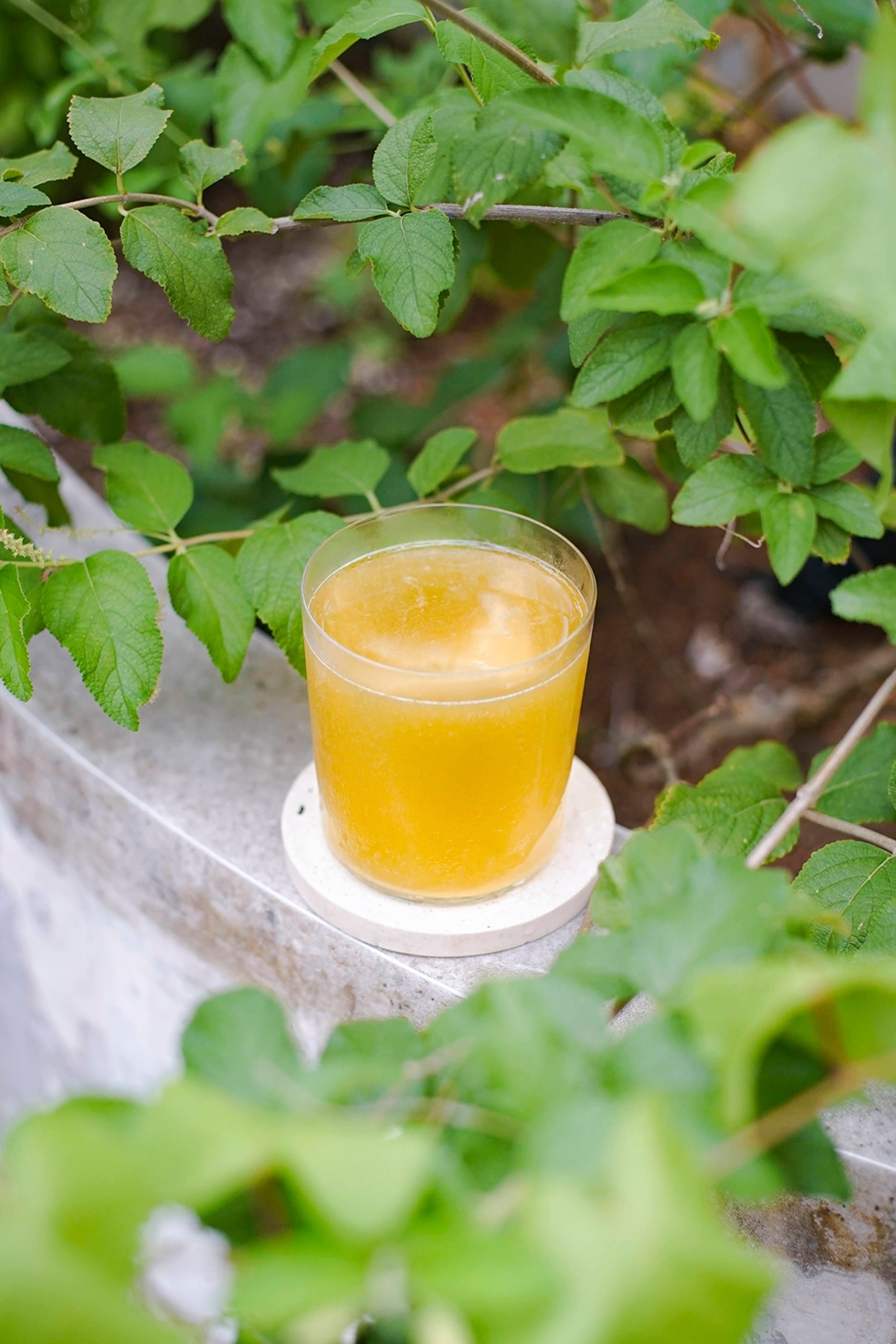 A cocktail glass shot through bushes