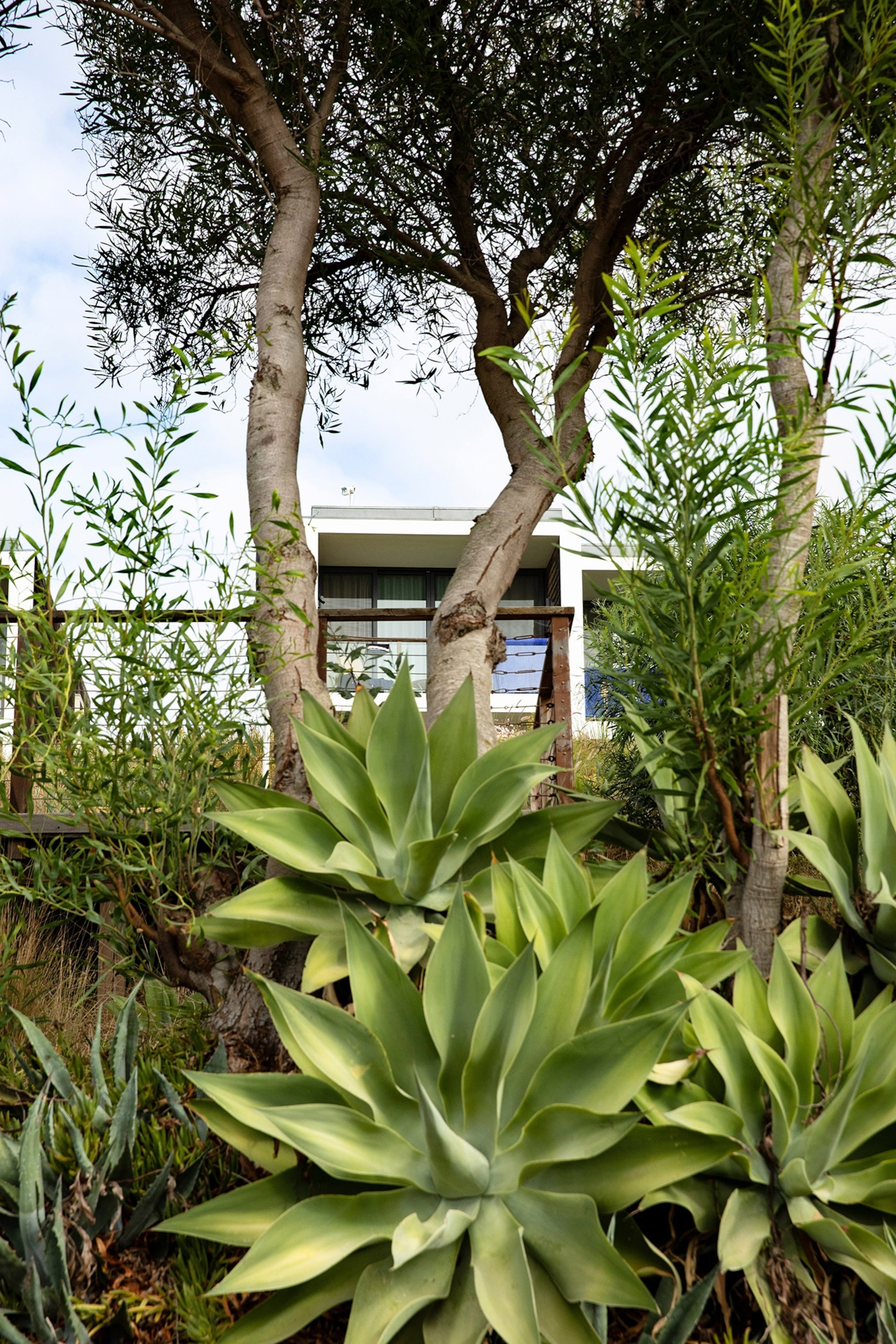 martinhal sagres beach family resort