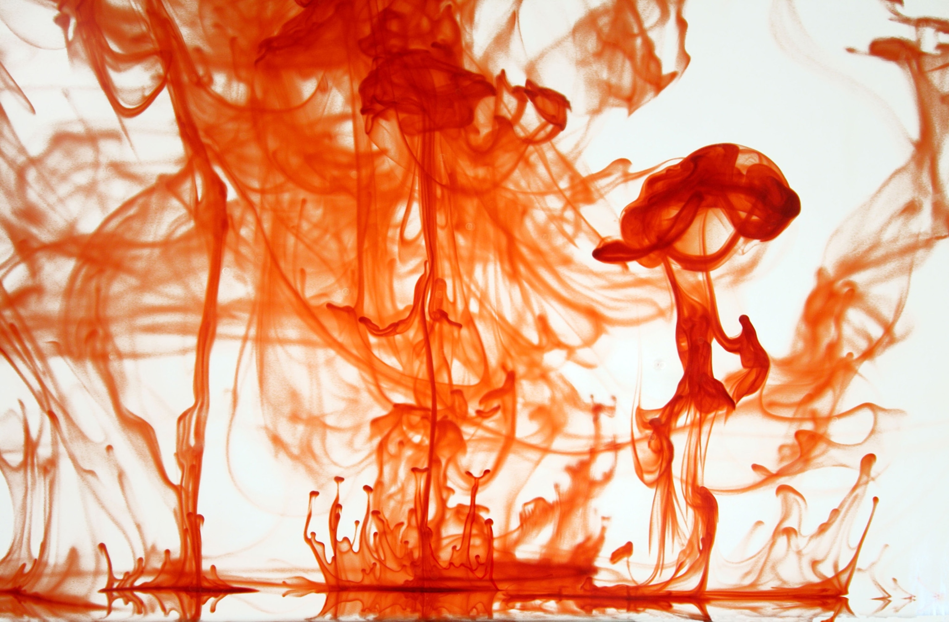 Drops of Orange Food Dye in water for my Abstract A Level Project.