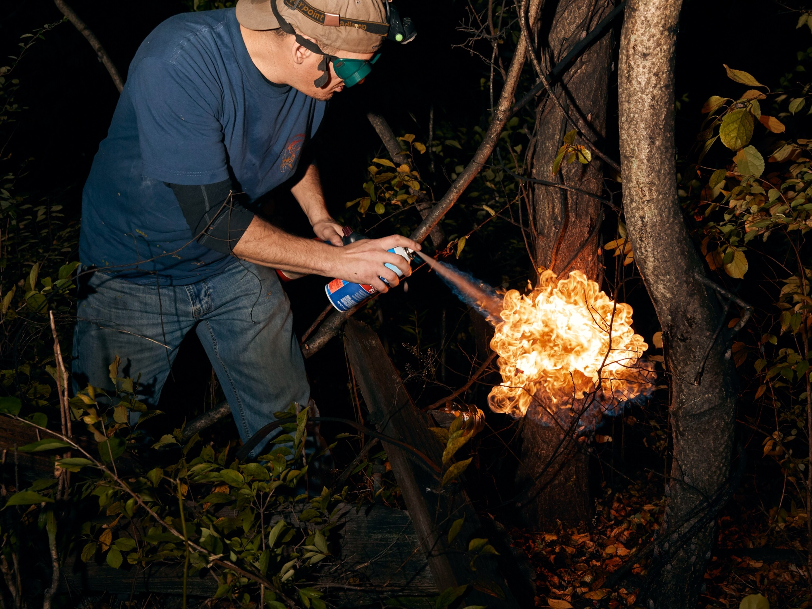 A man wearing protective goggles as he uses an aerosolized can to improvise a flamethrower, which he is using to burn lanternflies at the base of a tree.
