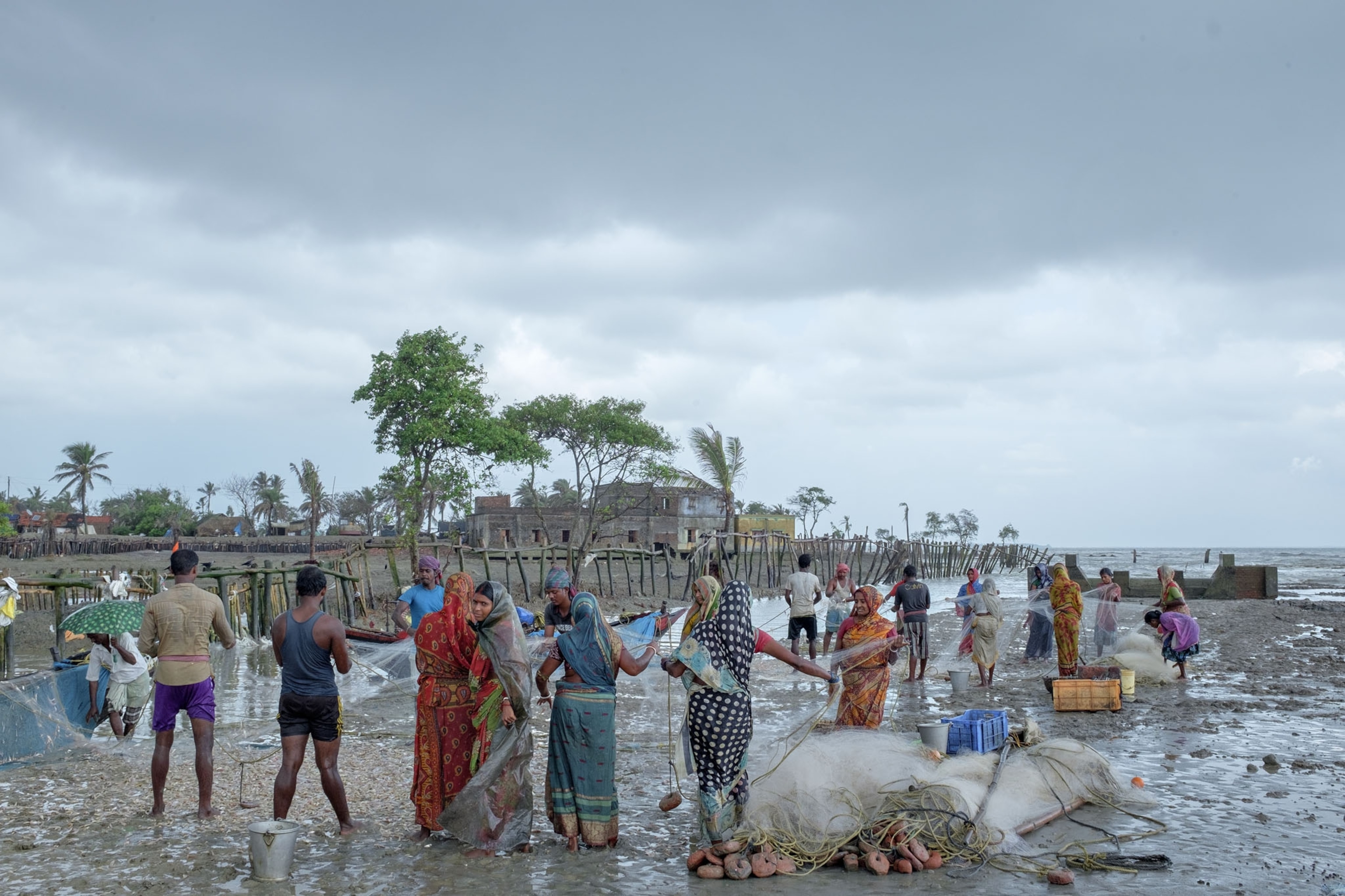 people working with nets on the shore