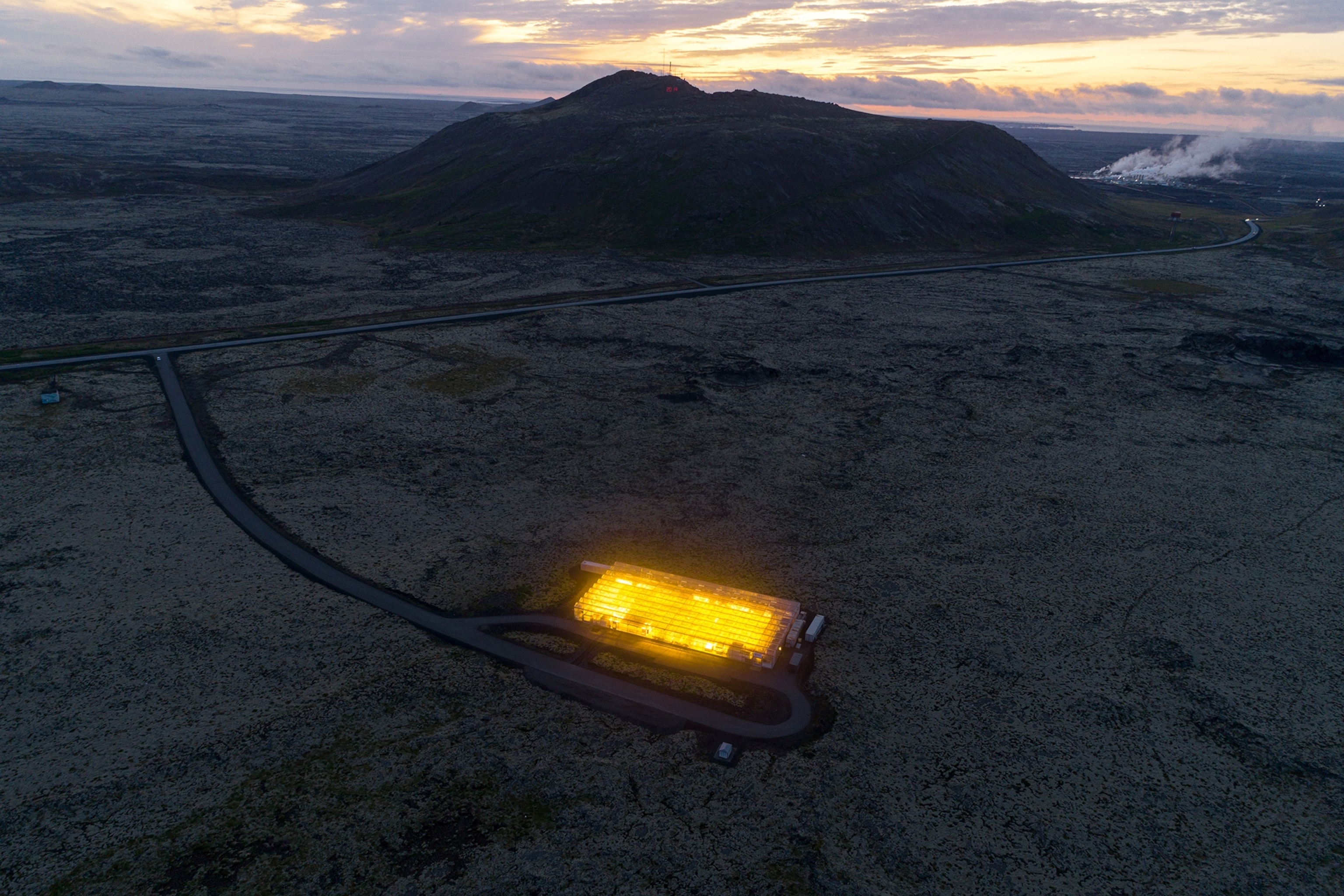 Geothermal-grown plants in Iceland.