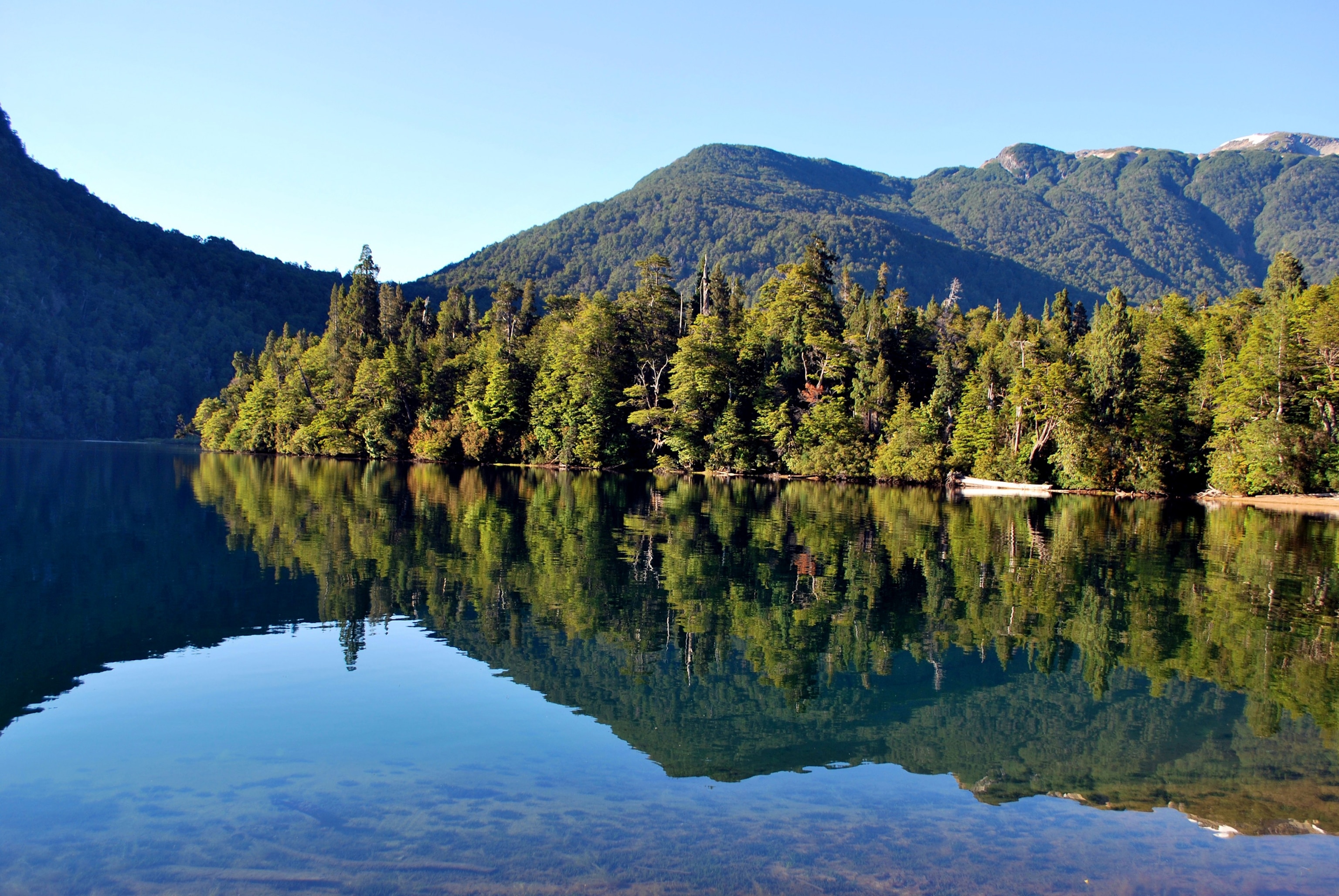 lake environment with temperate Alerce forest in Los Alerces National Park