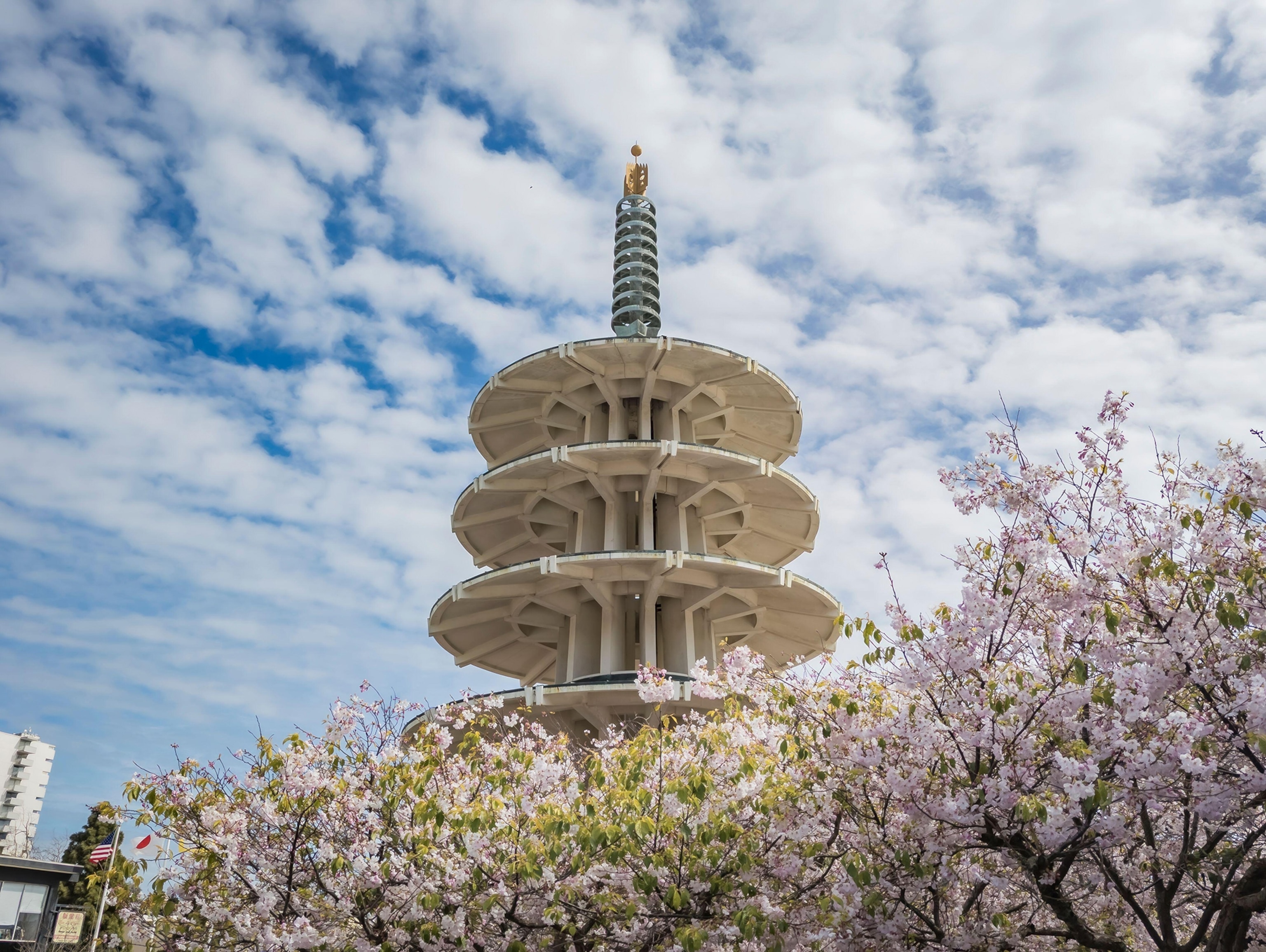 Sakura cherry blossom at Japantown Peace Plaza, traditional Japanese pagoda in San Francisco on a cloudy day.