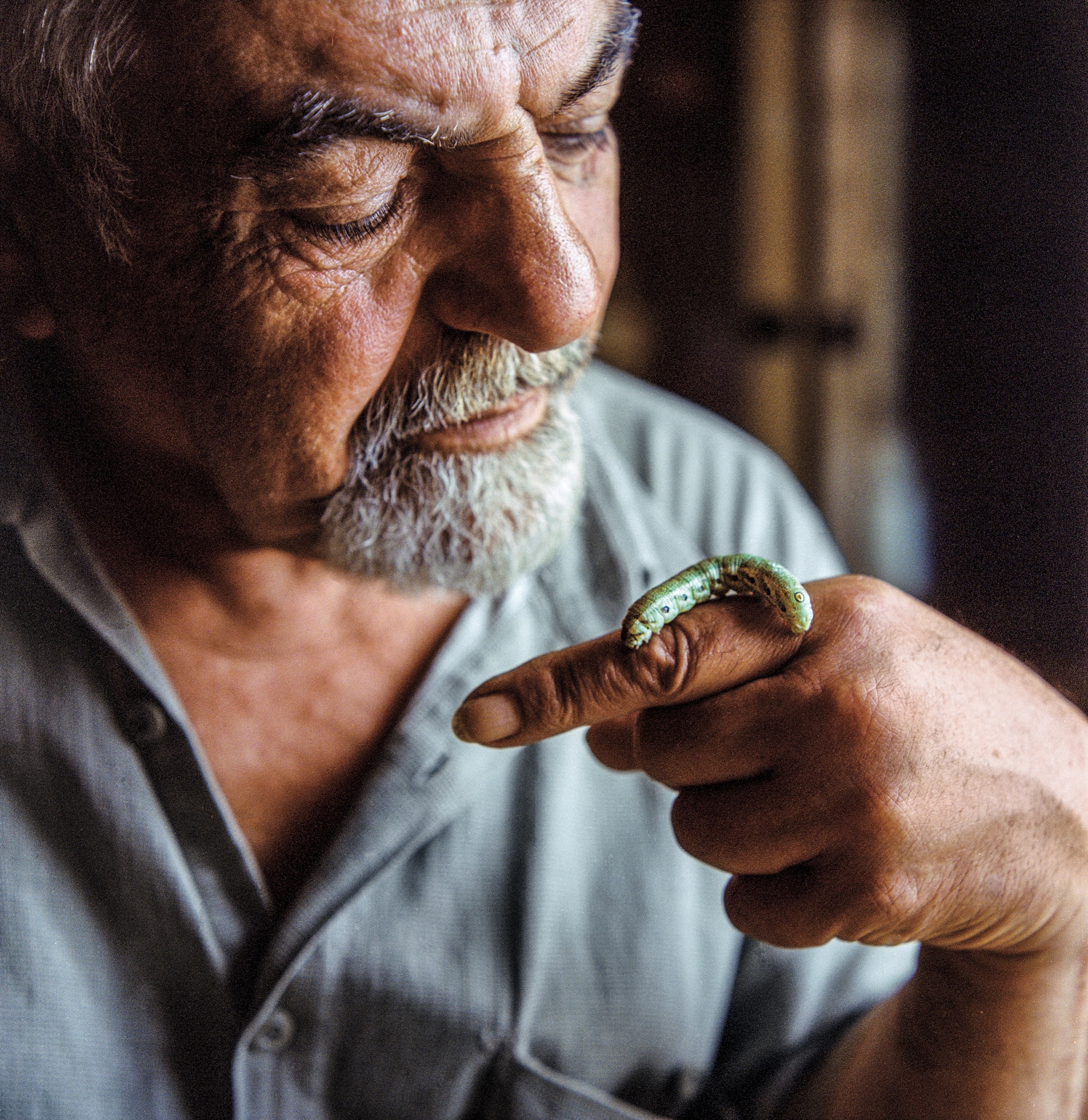 A man watches a caterpillar as it crawls on his finger.