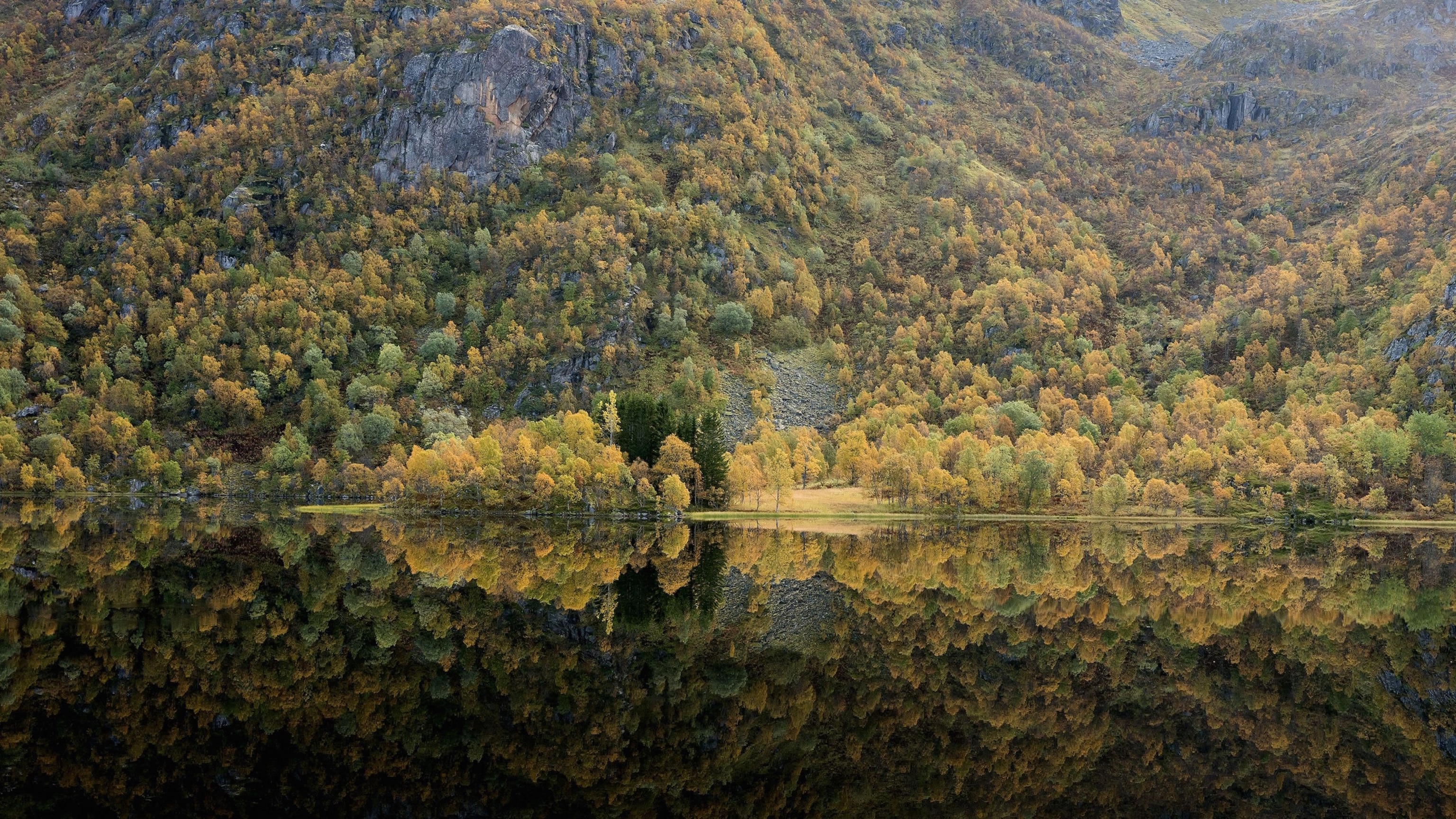 fall foliage at lake in Lofoten Islands, Norway