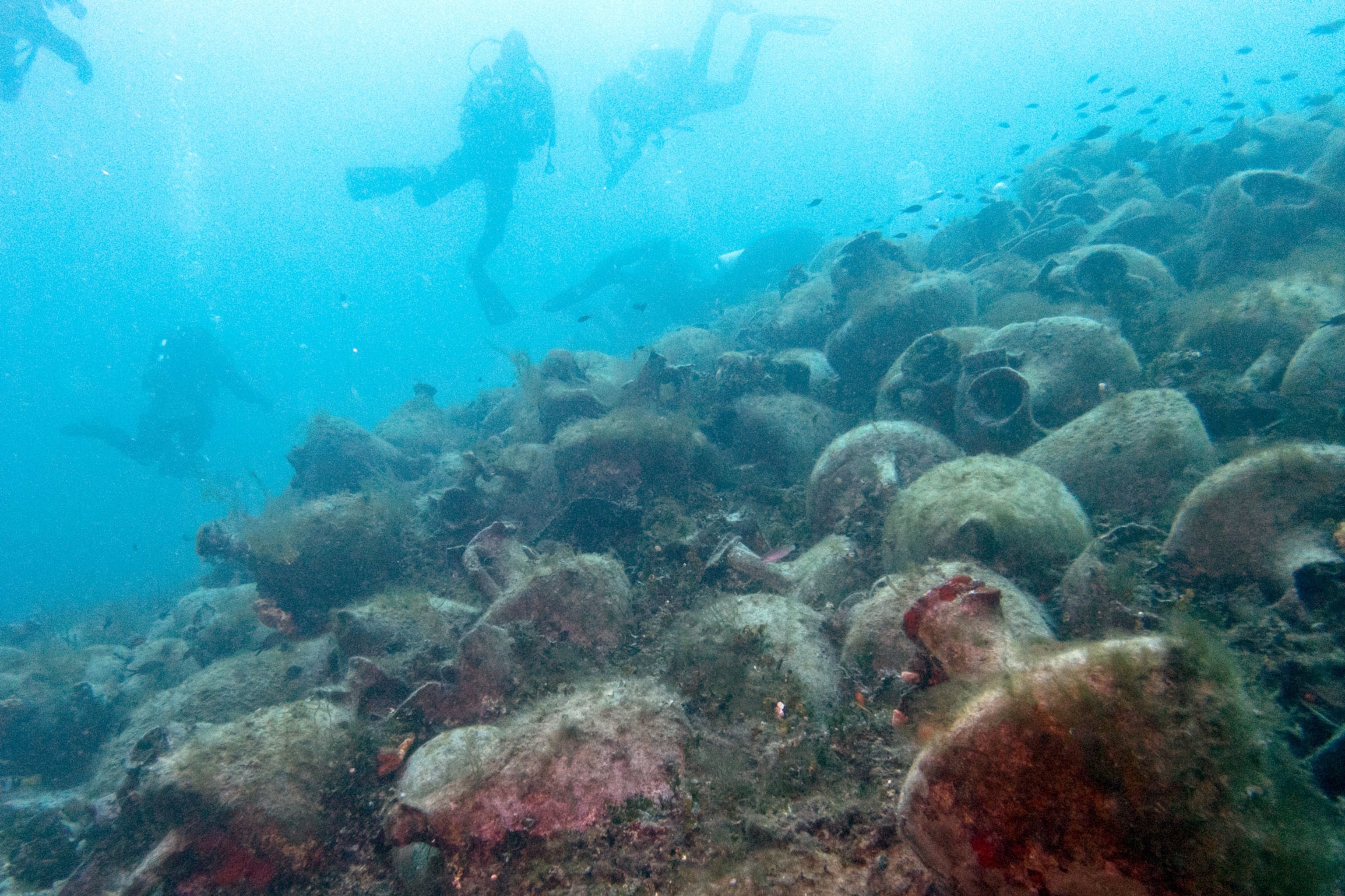 People diving in greece