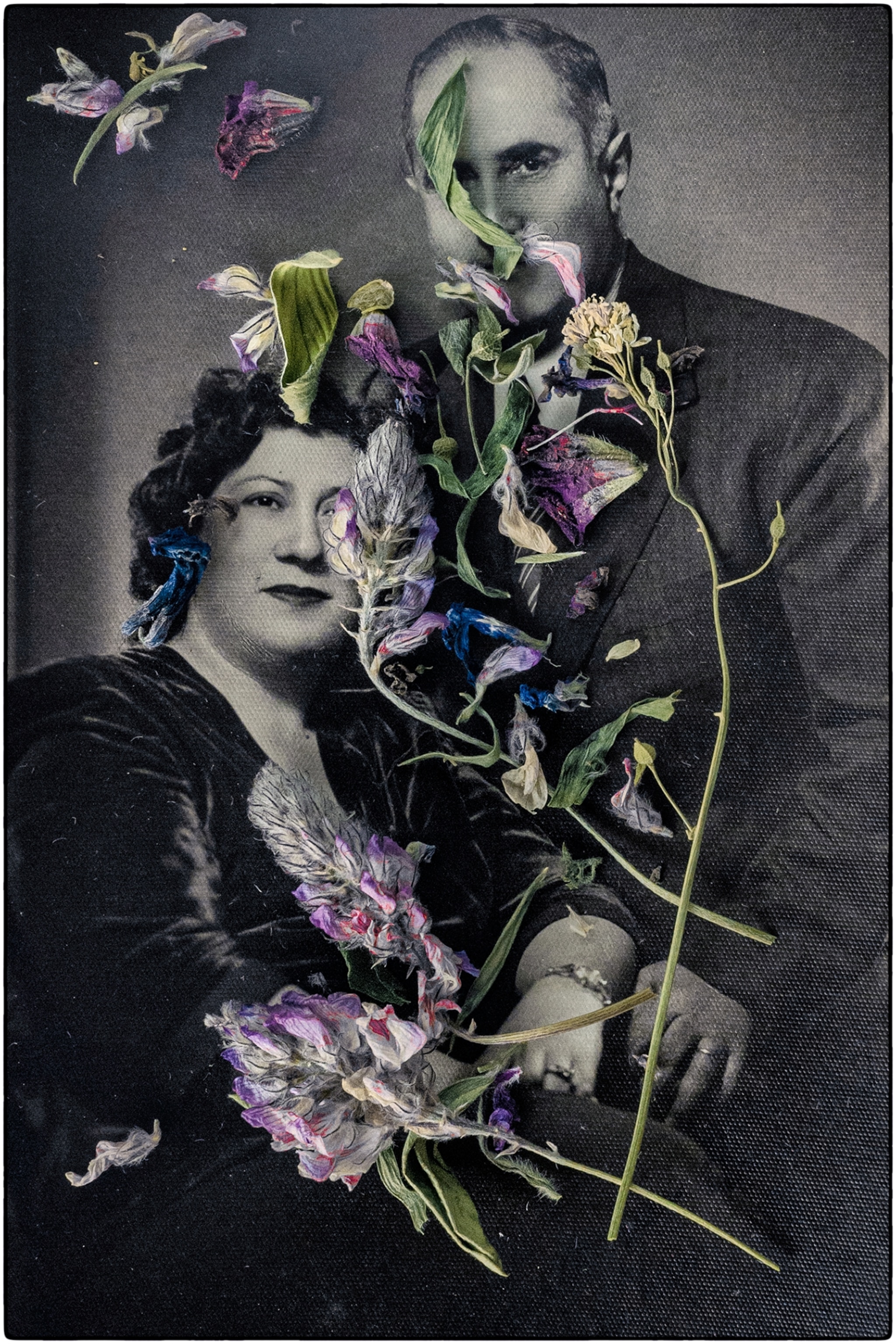 Fragmented flowers petals obscure an old black and white portrait photograph of a married couple.