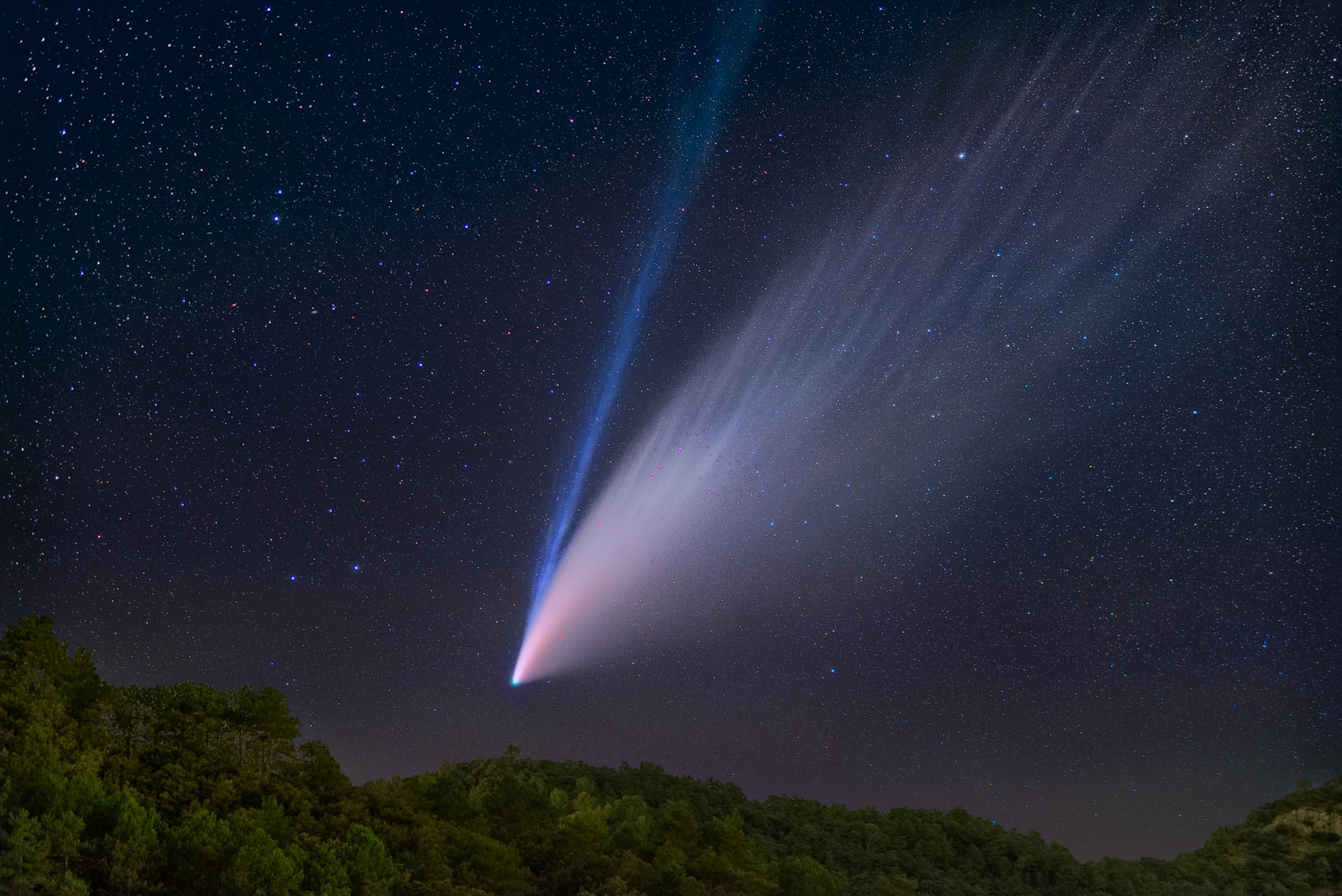 Comet Neowise passes above a forest. Both a white tail of dust and a blue tail of ions are seen trailing the comet.
