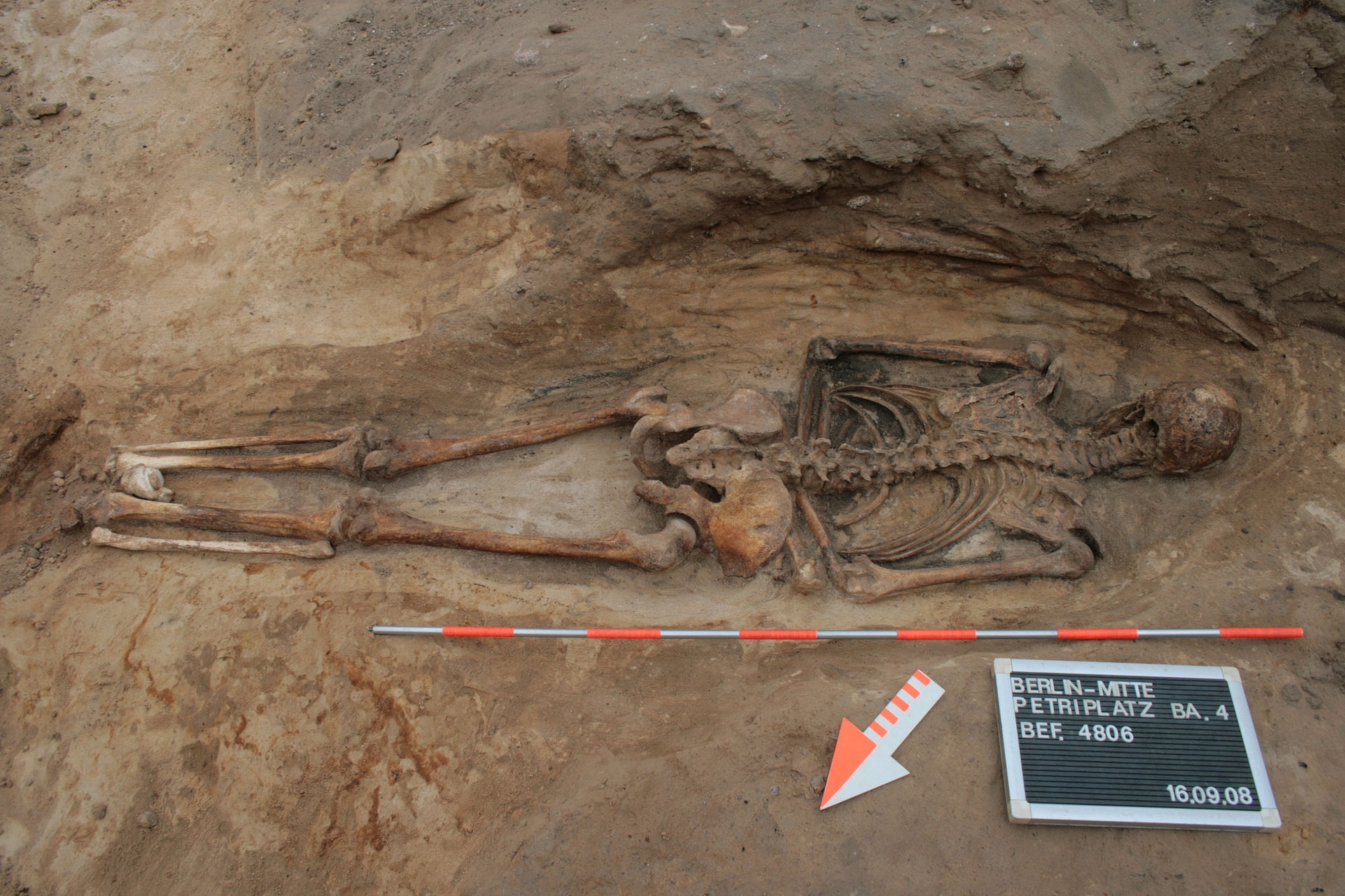 a skeleton
