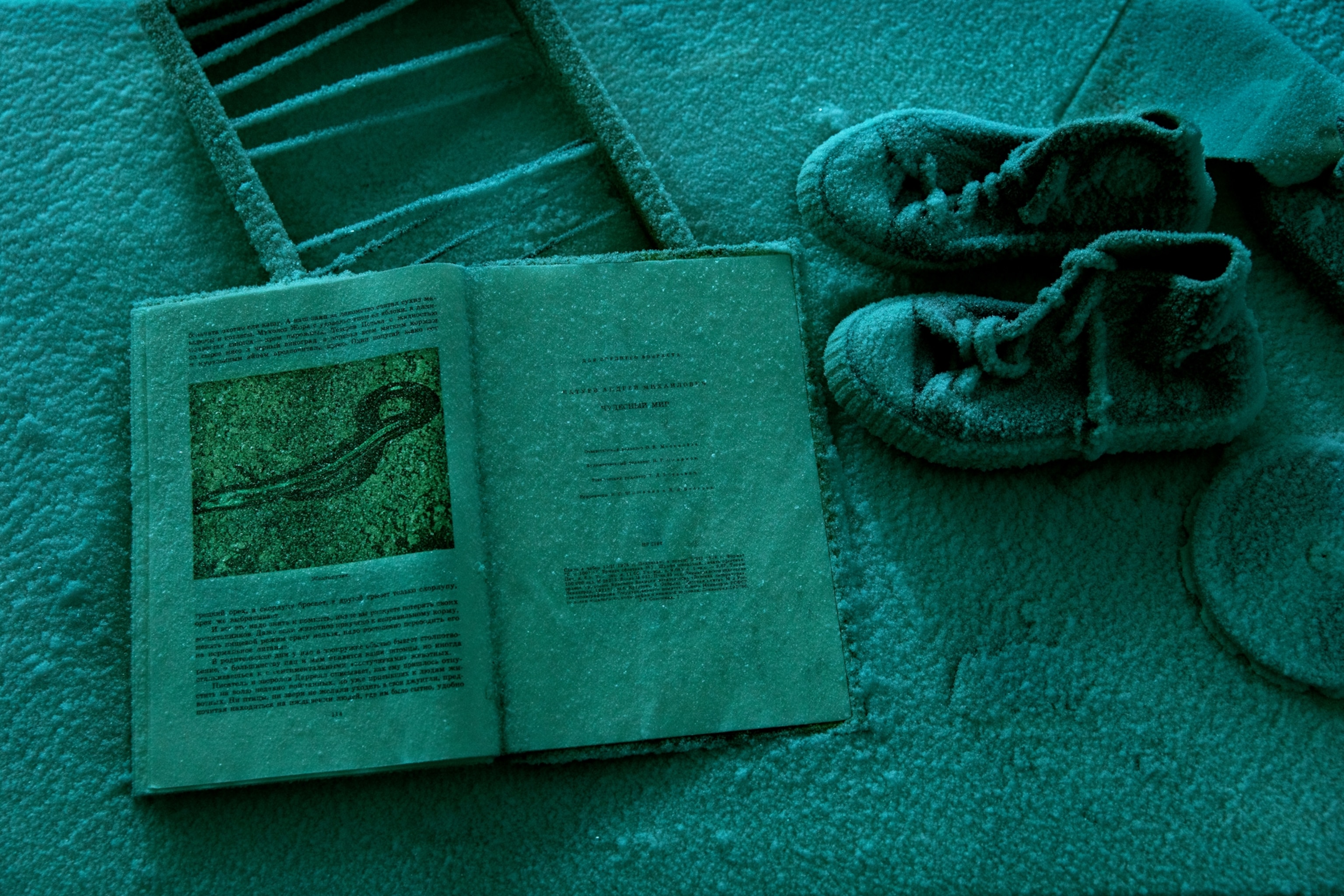 open book and pair of shoes covered with frost.