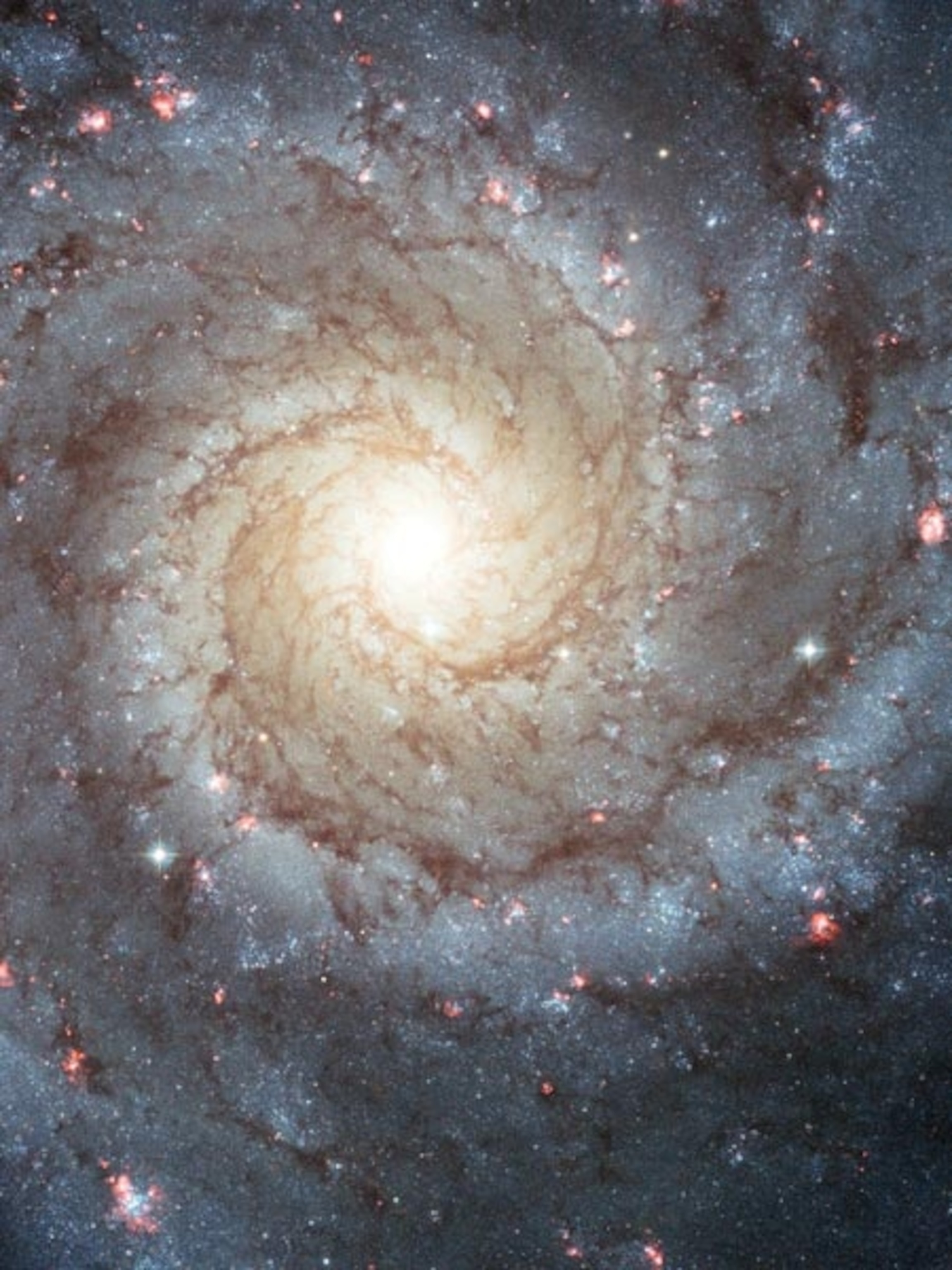 the Messier Galaxy