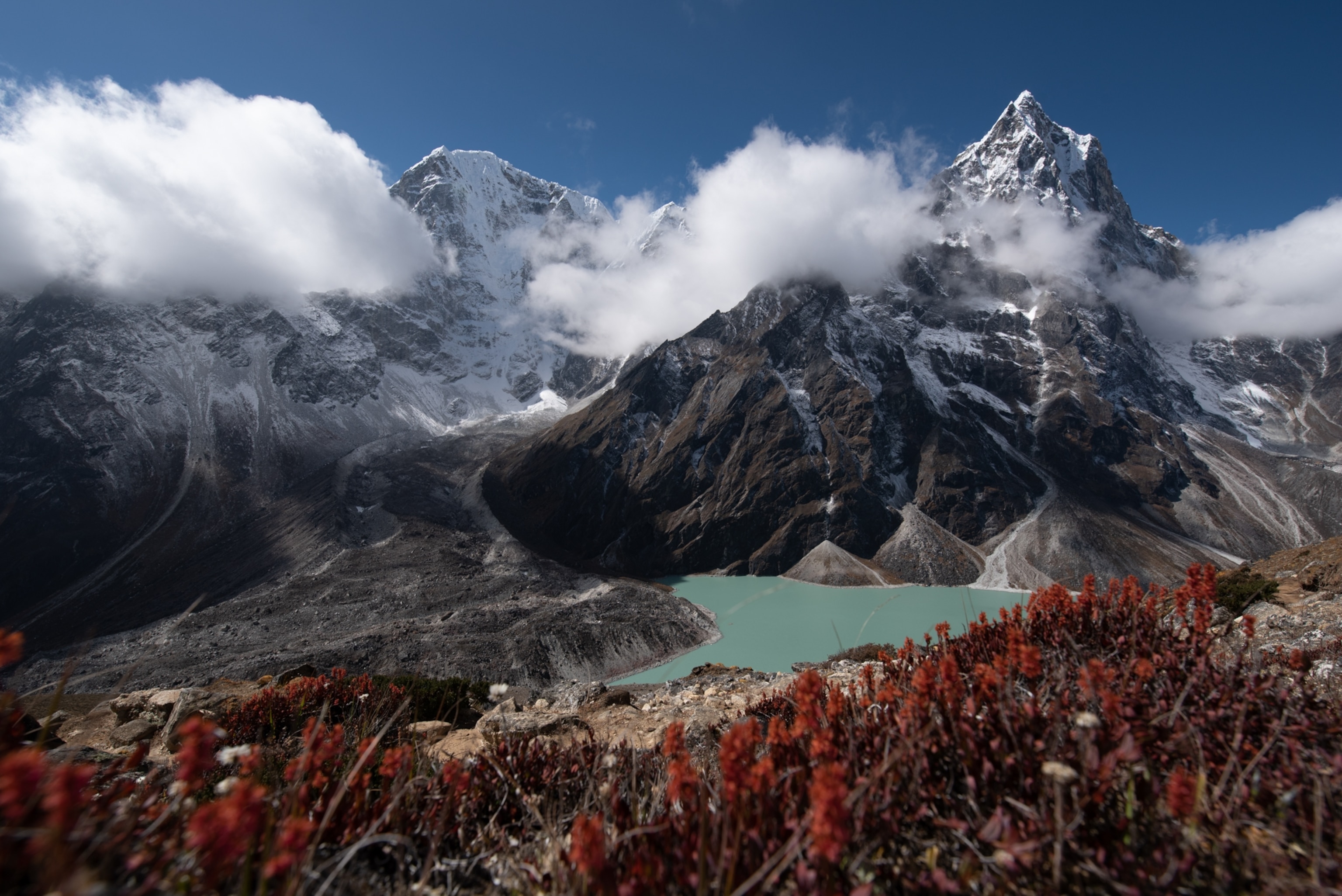 Mountain range with a lake in the valley, red flowers in the foreground