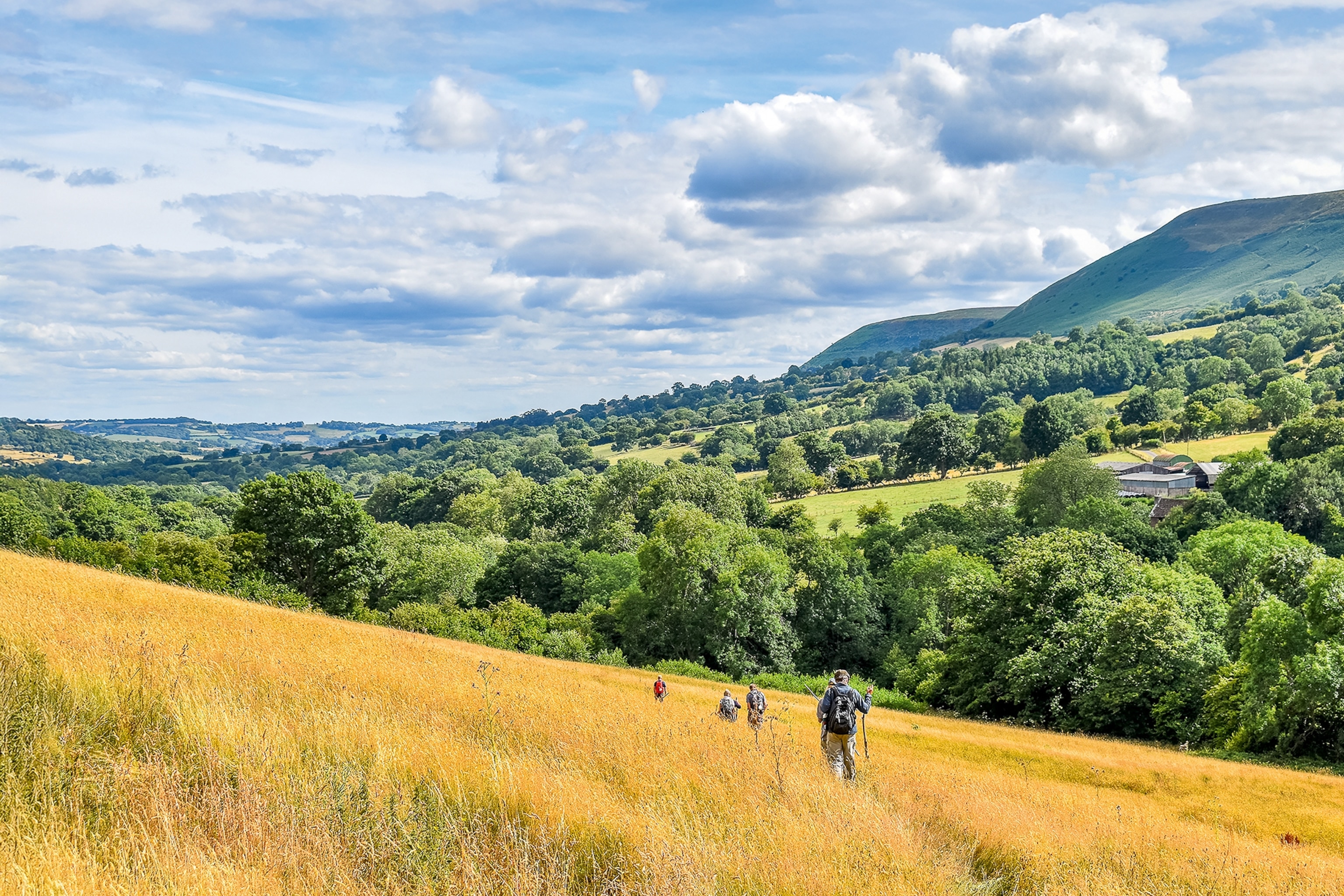 A wide landscape shot of dry grass fields and green hills in the back.