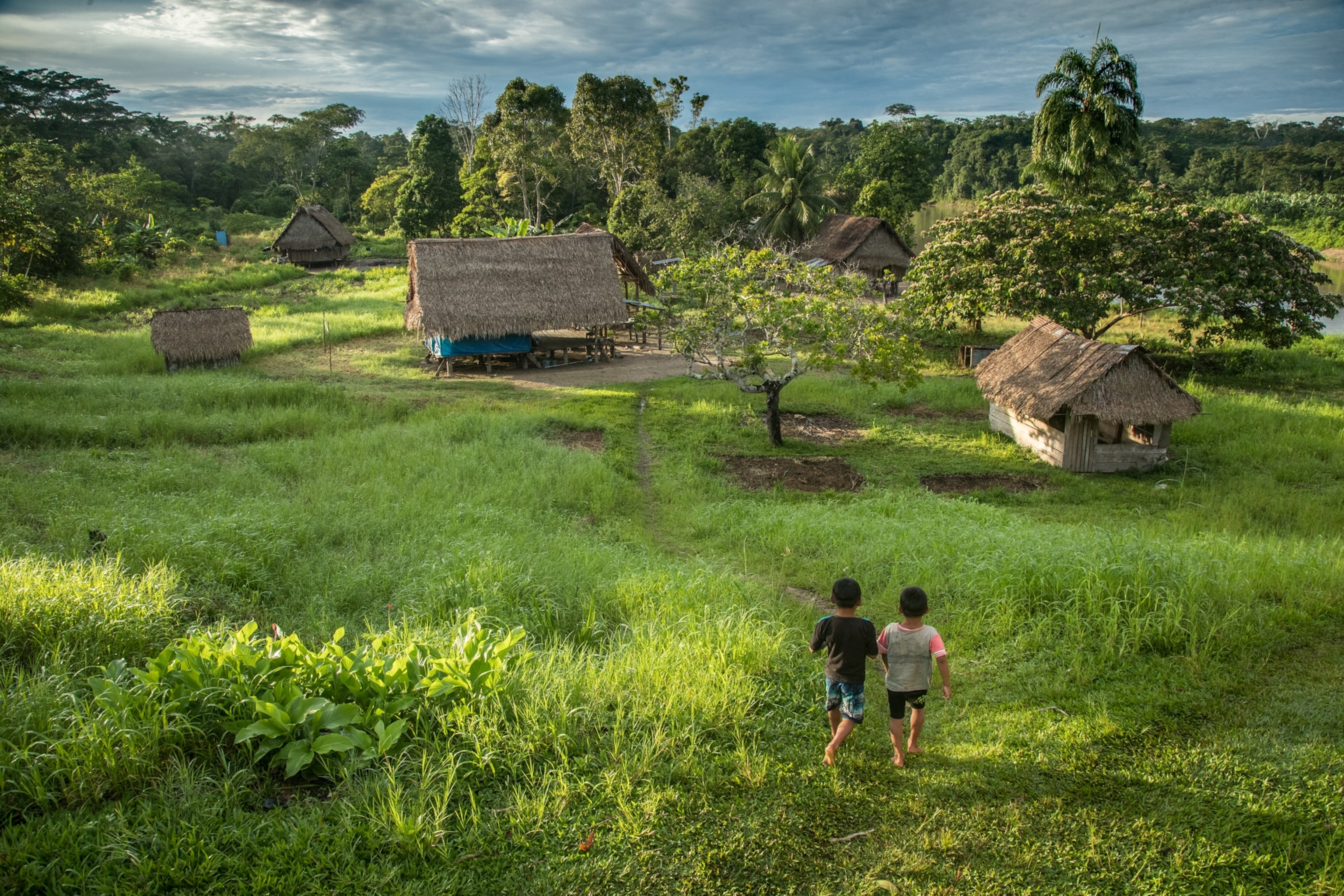 of two young children walking towards a small roofed area in lush green grass
