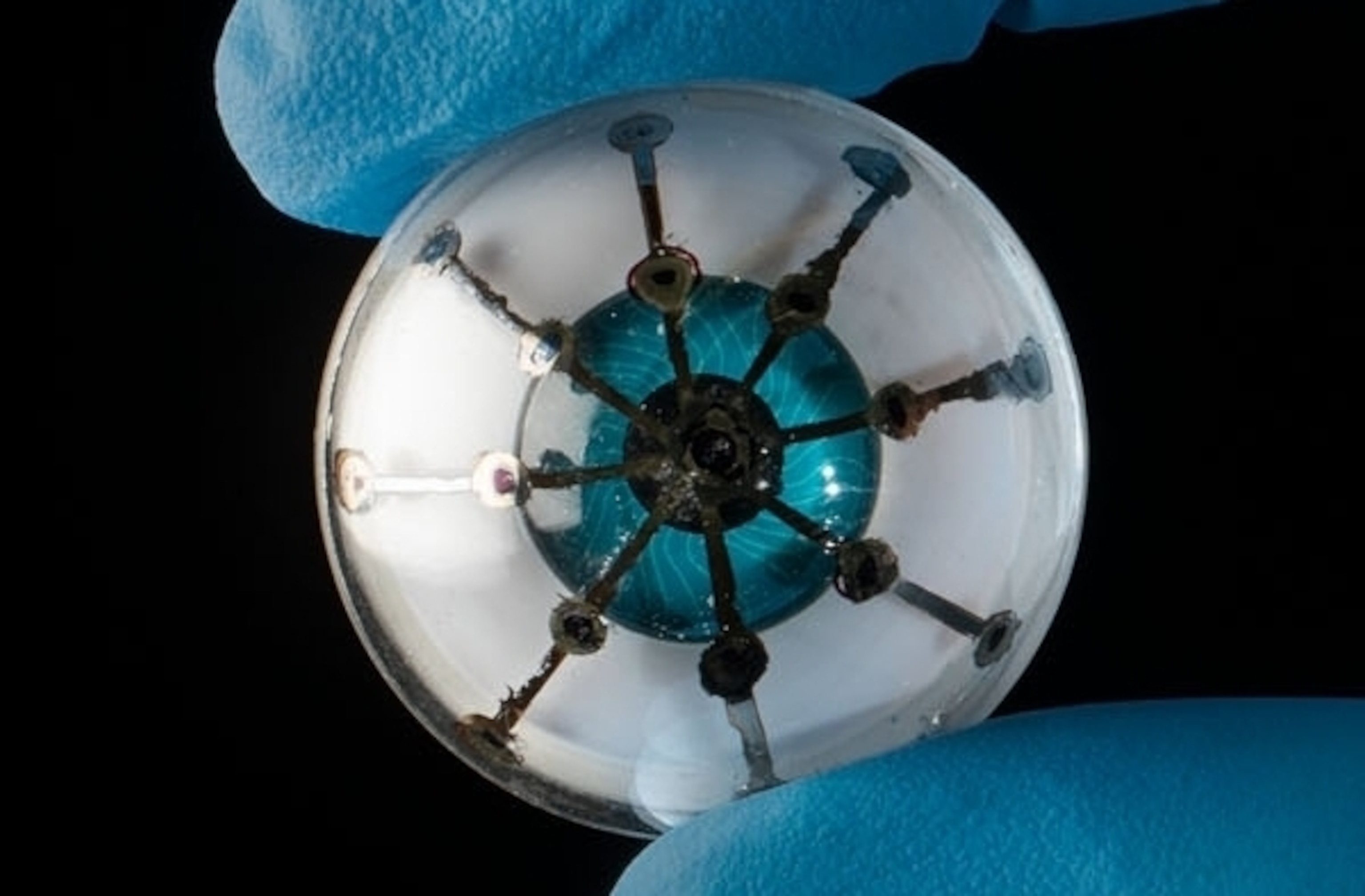 bionic eye