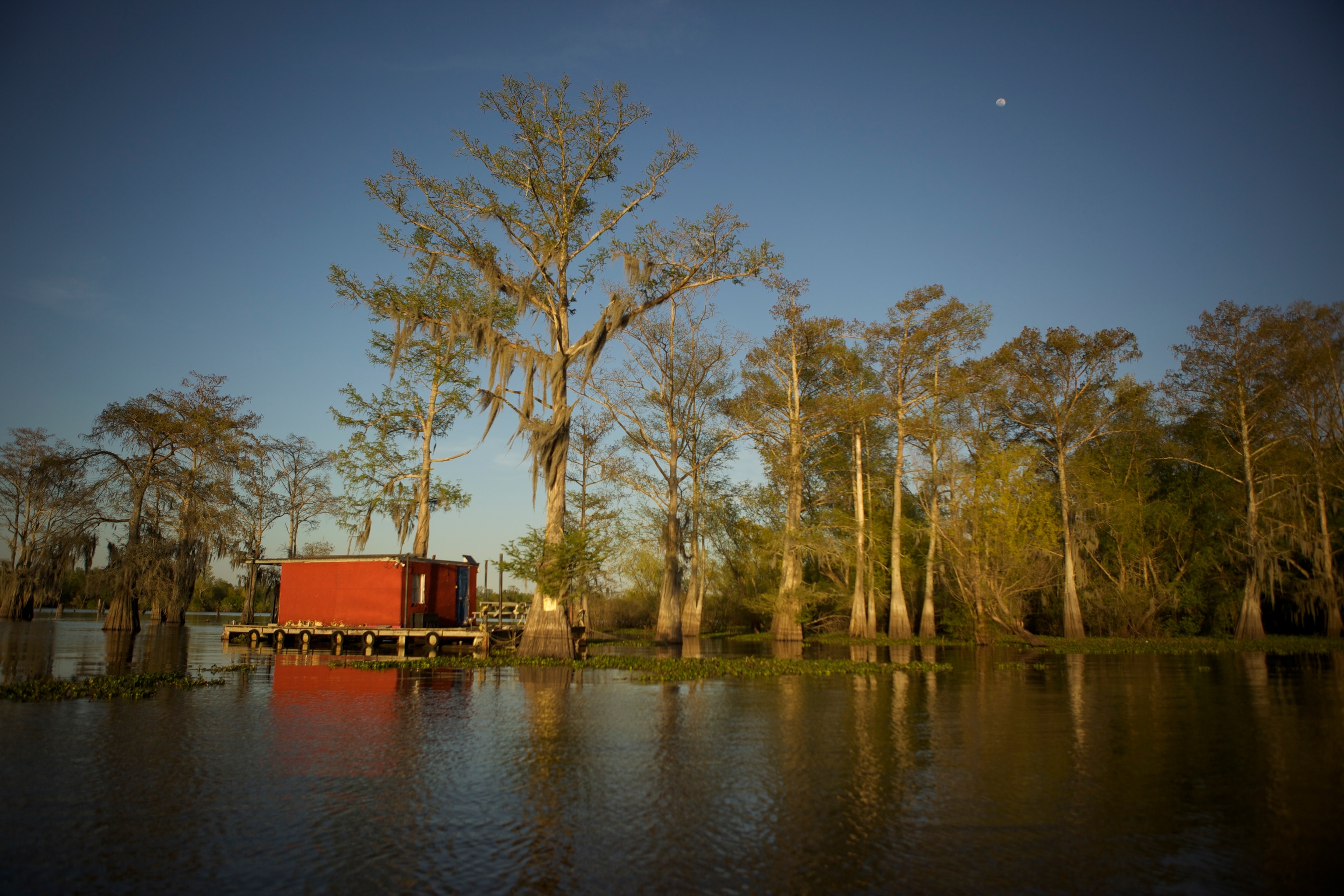 Houseboats, a common feature of the Atchafalaya Basin in Louisiana