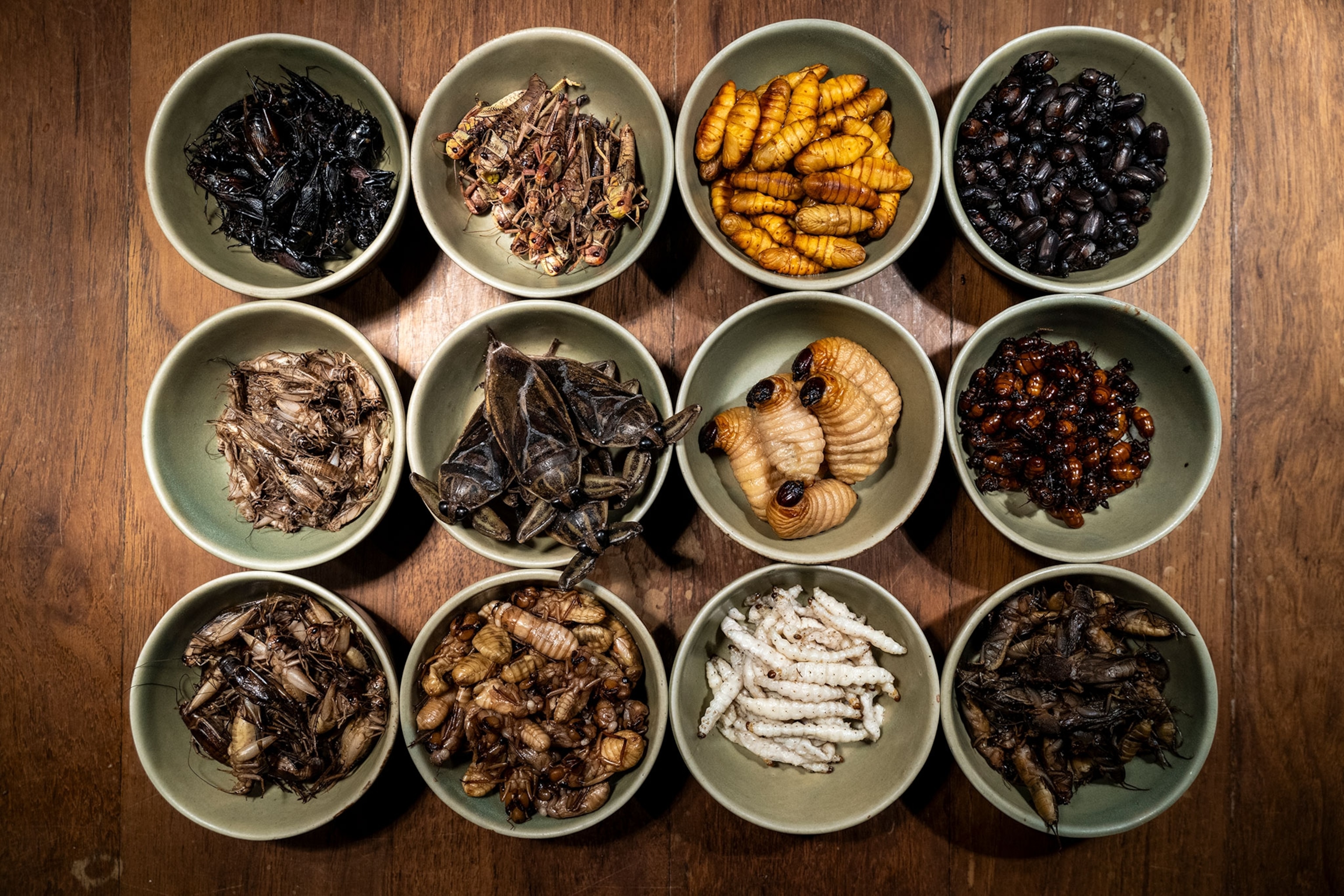 A 4 by 3 grid of bowls filled with various prepared edible insects sits on a dark wooden table.