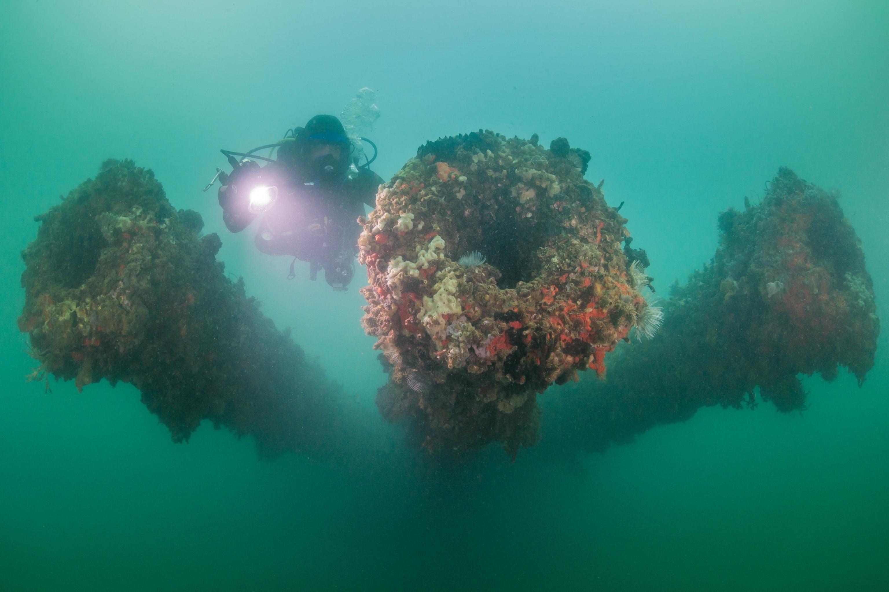 USS Arizona gun barrels